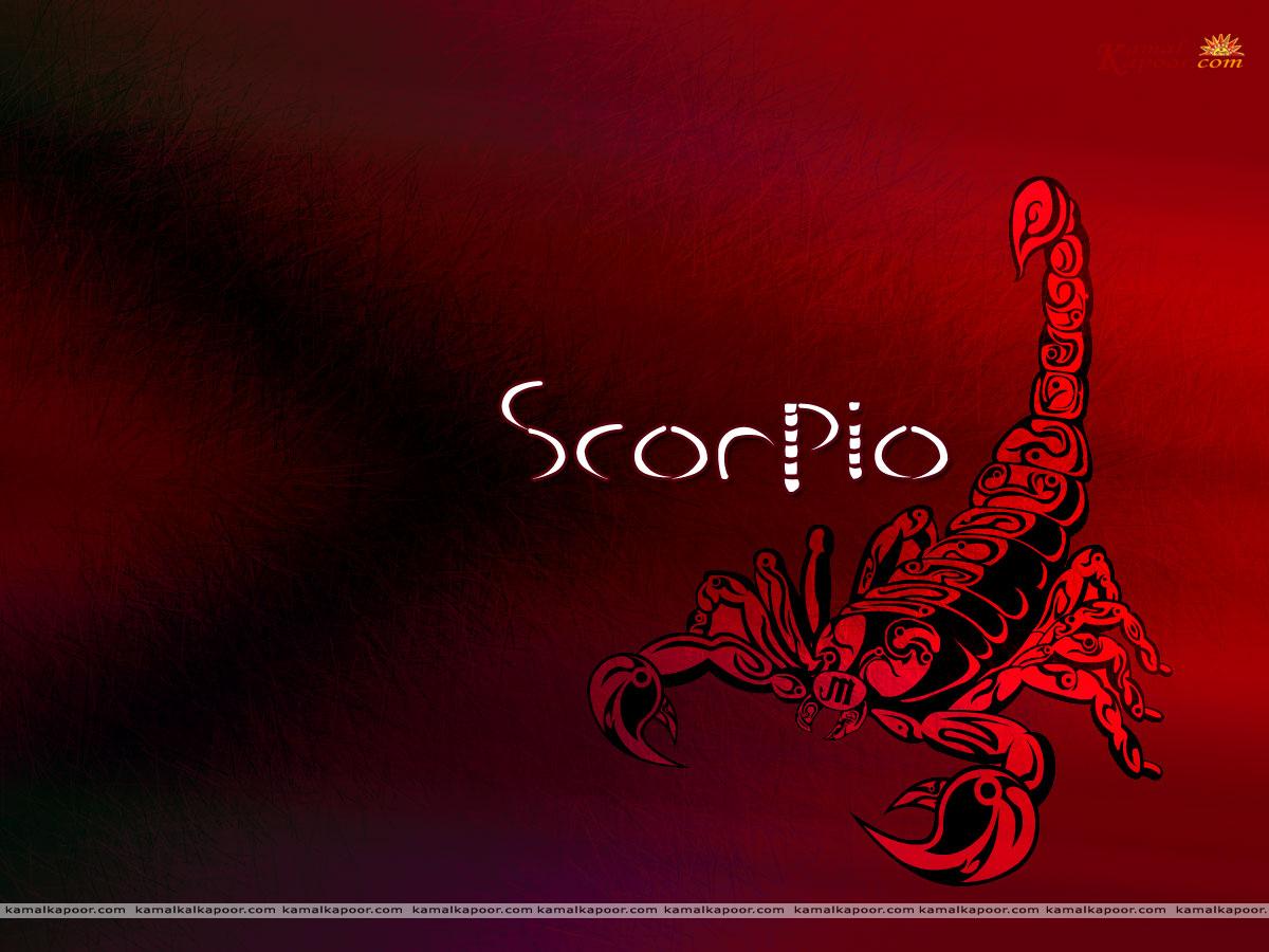 Scorpio Wallpaper. Scorpio