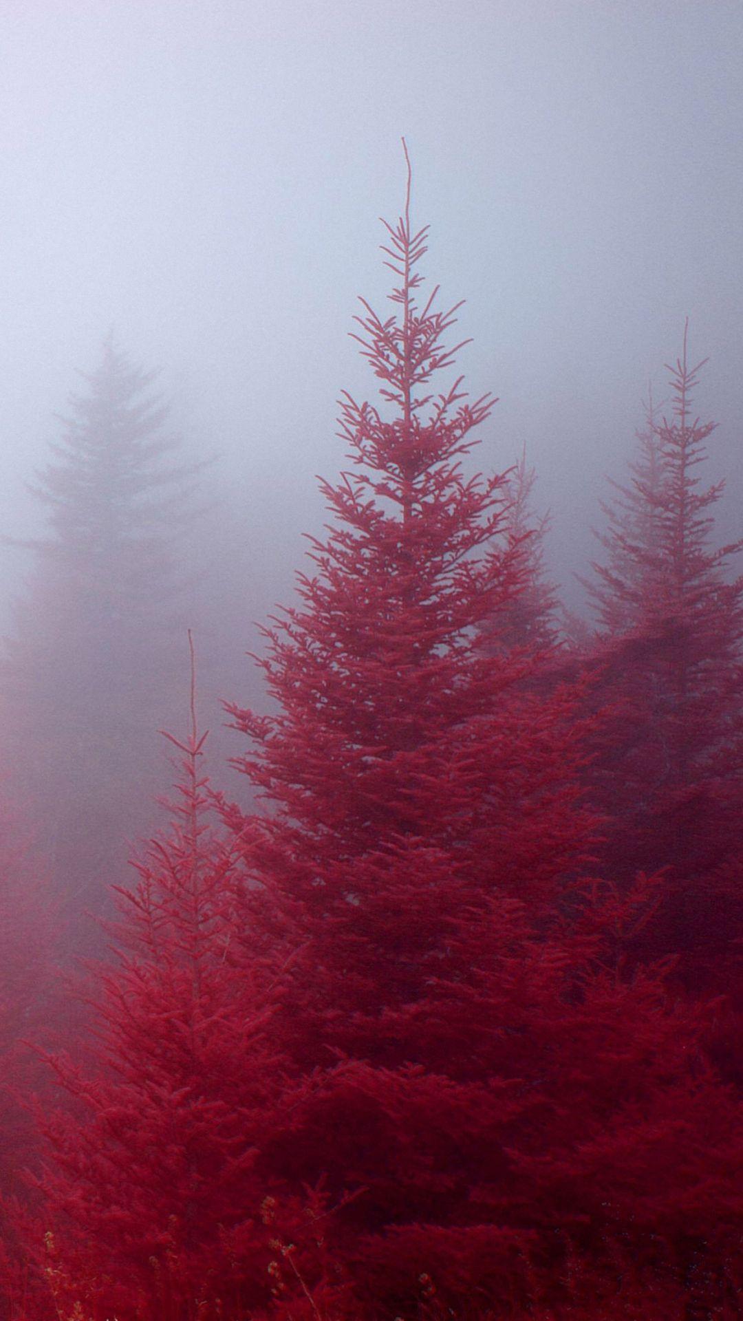 beautiful red nature forest iphone 6 wallpaper HD. Red