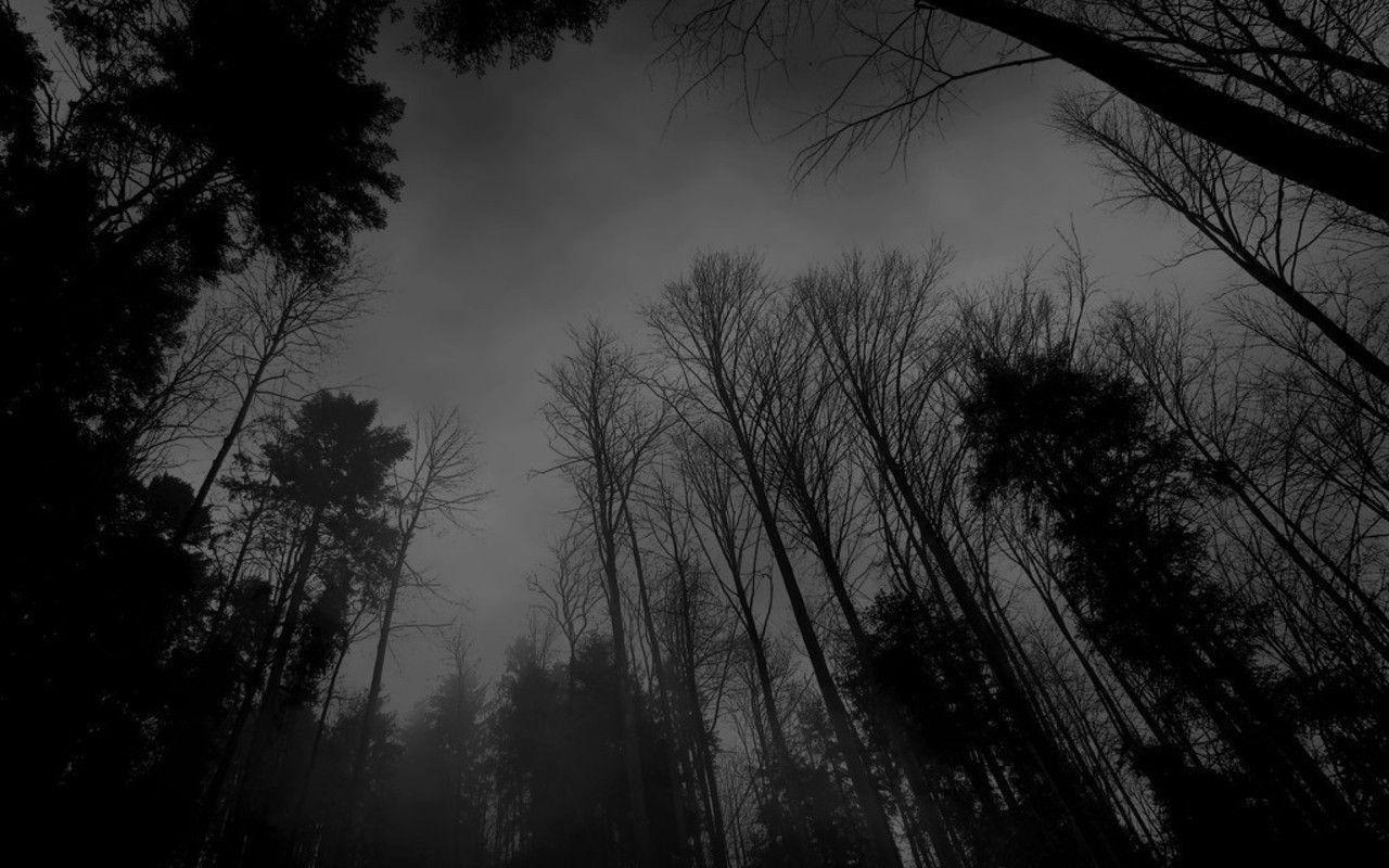 Wallpaper For > Dark Forest Background Image. Black and white