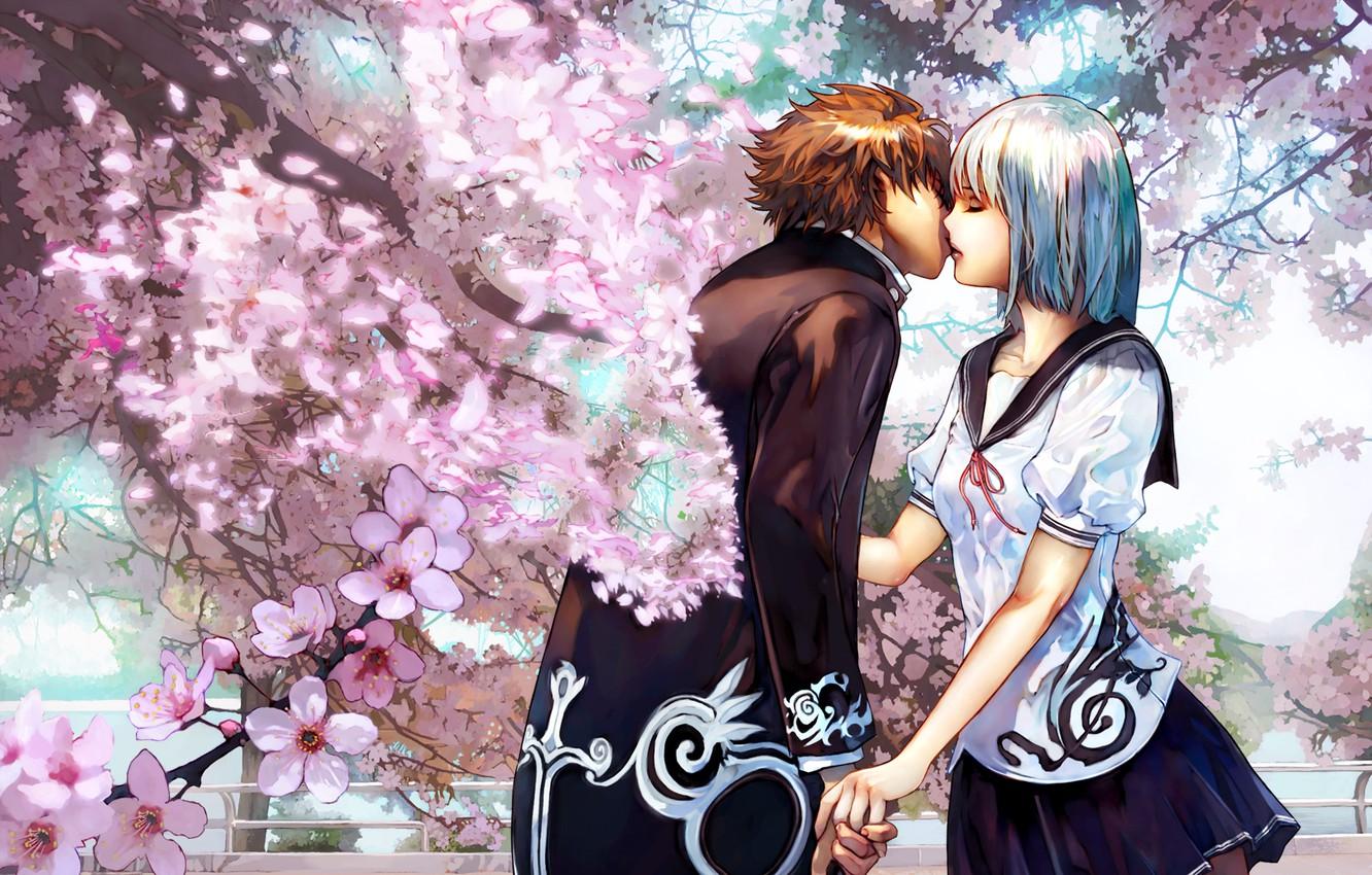 Wallpaper kiss, pair, lovers, cherry blossoms, Cherry kiss