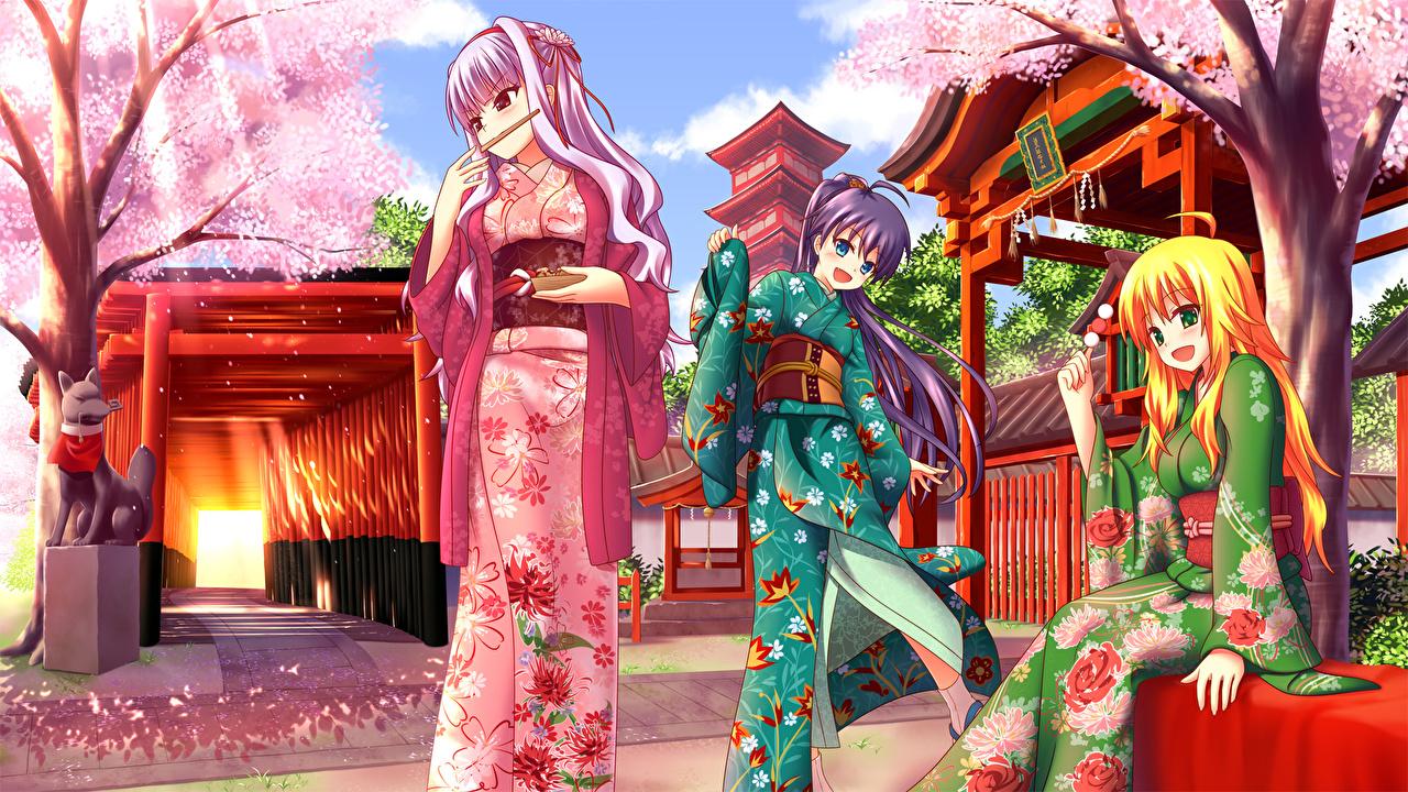 Wallpaper Cherry blossom Kimono Anime young woman Three 3