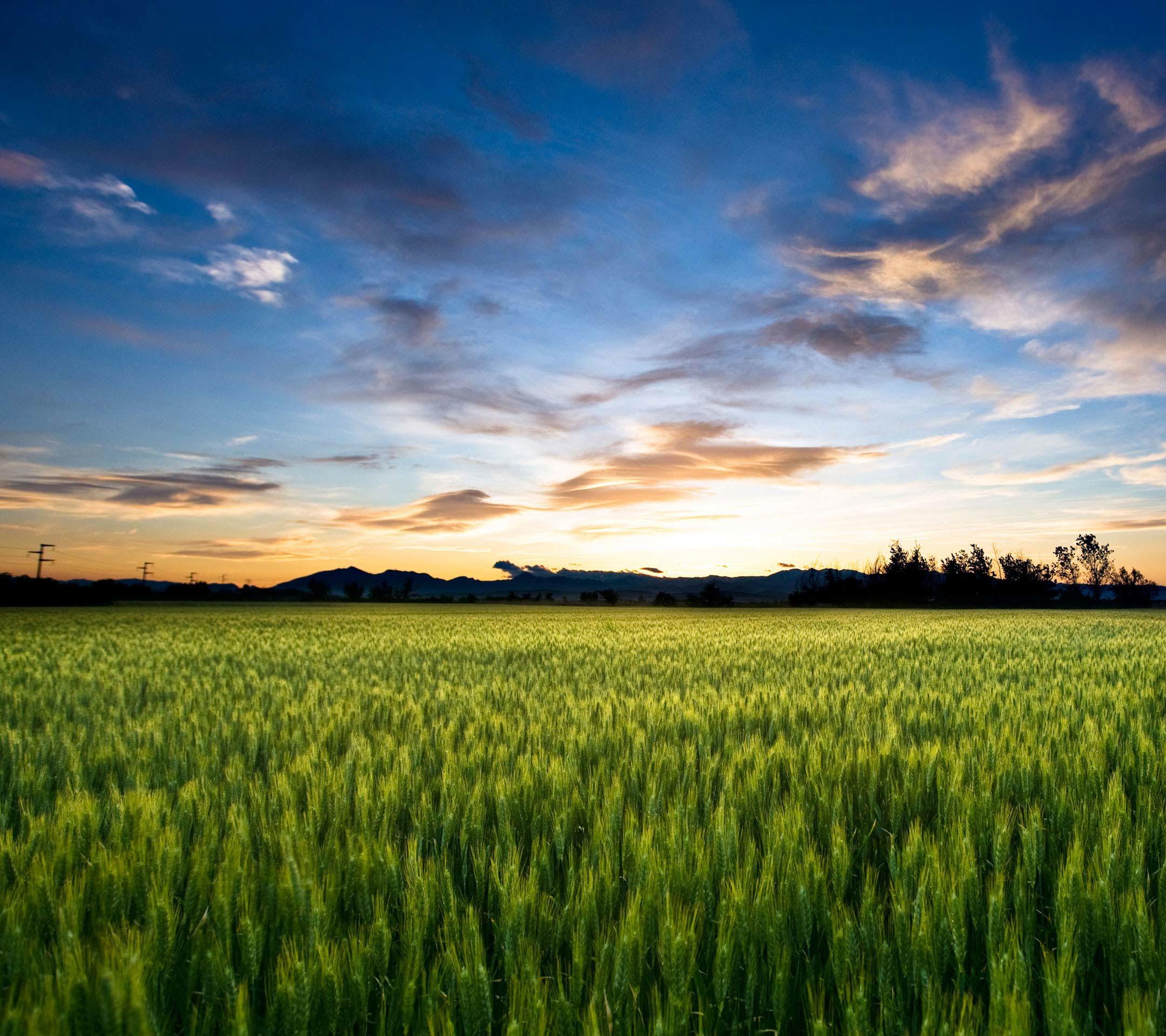 Agriculture Desktop Wallpapers - Wallpaper Cave