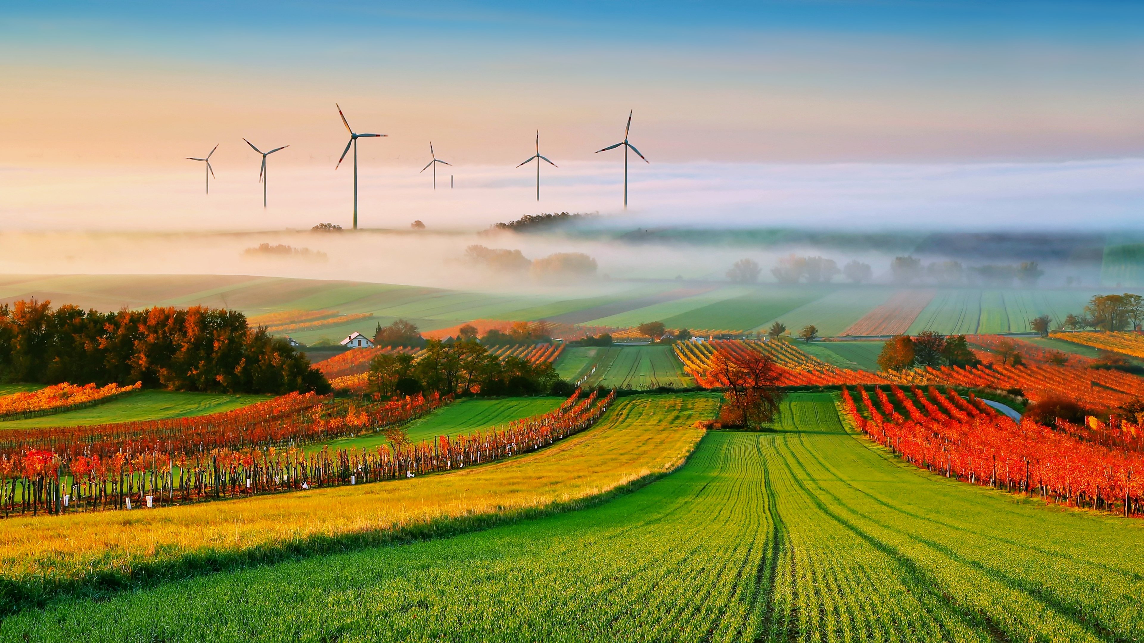 Agriculture Fog Earth Nature Field Landscape windmill wallpaperx2160