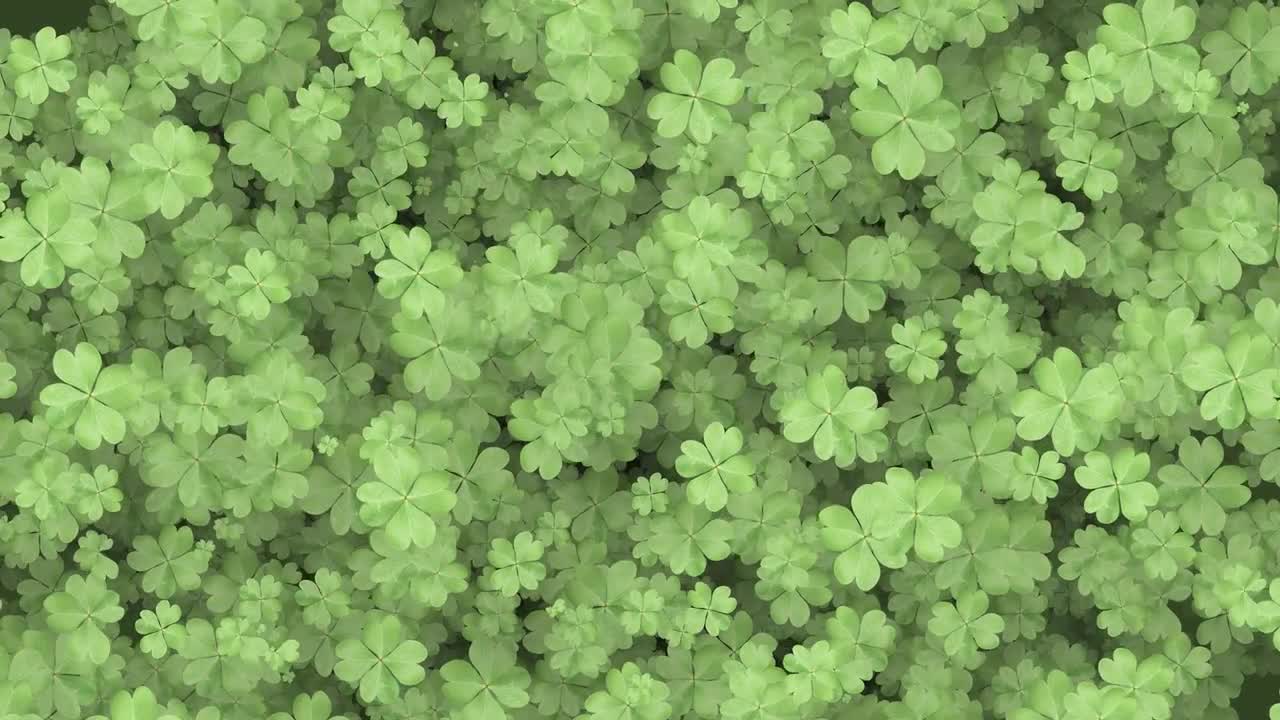 Four Leaf Clover Background Motion Graphics. Motion