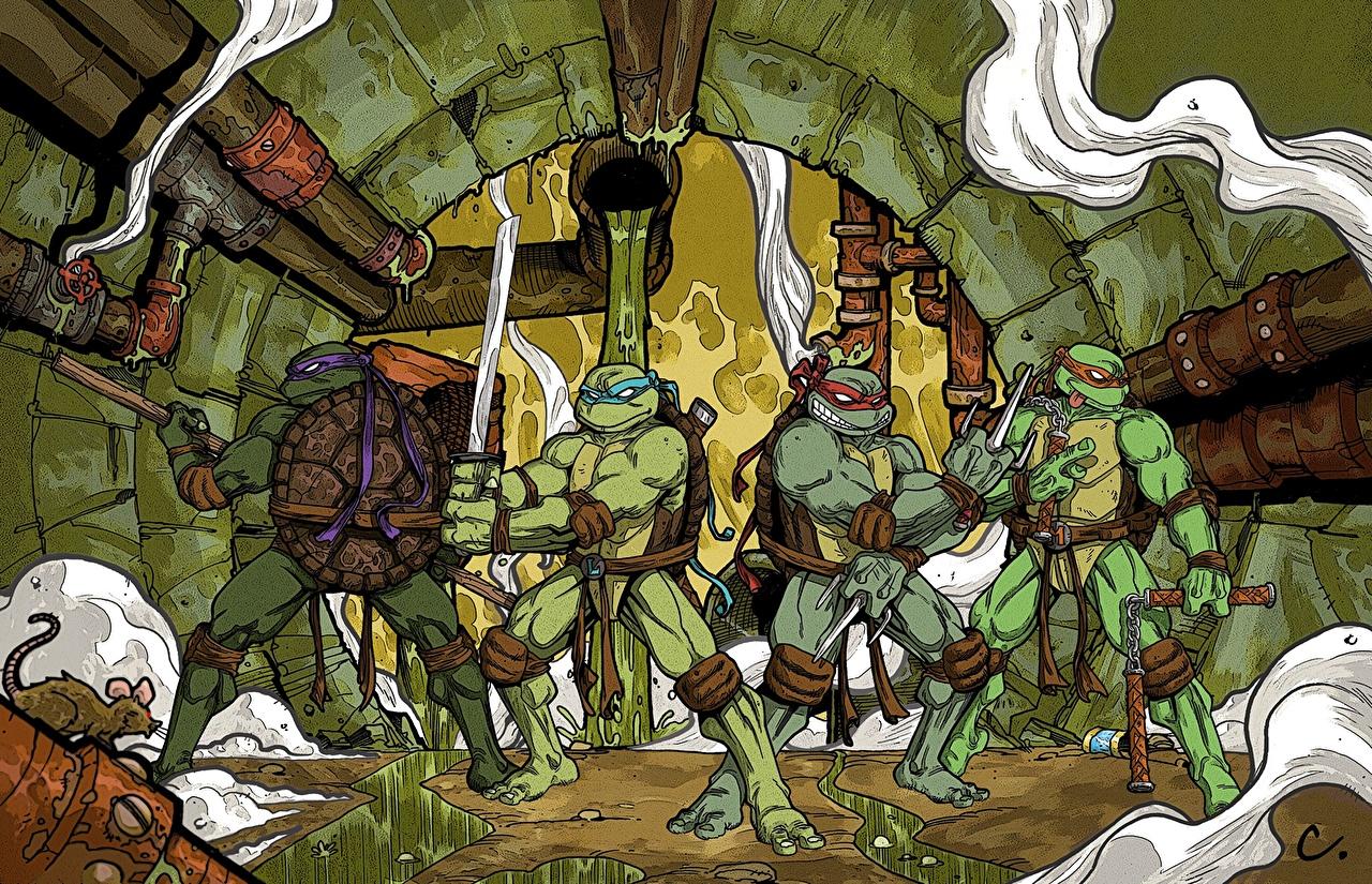 Photos Teenage Mutant Ninja Turtles Warriors Fantasy Cartoons