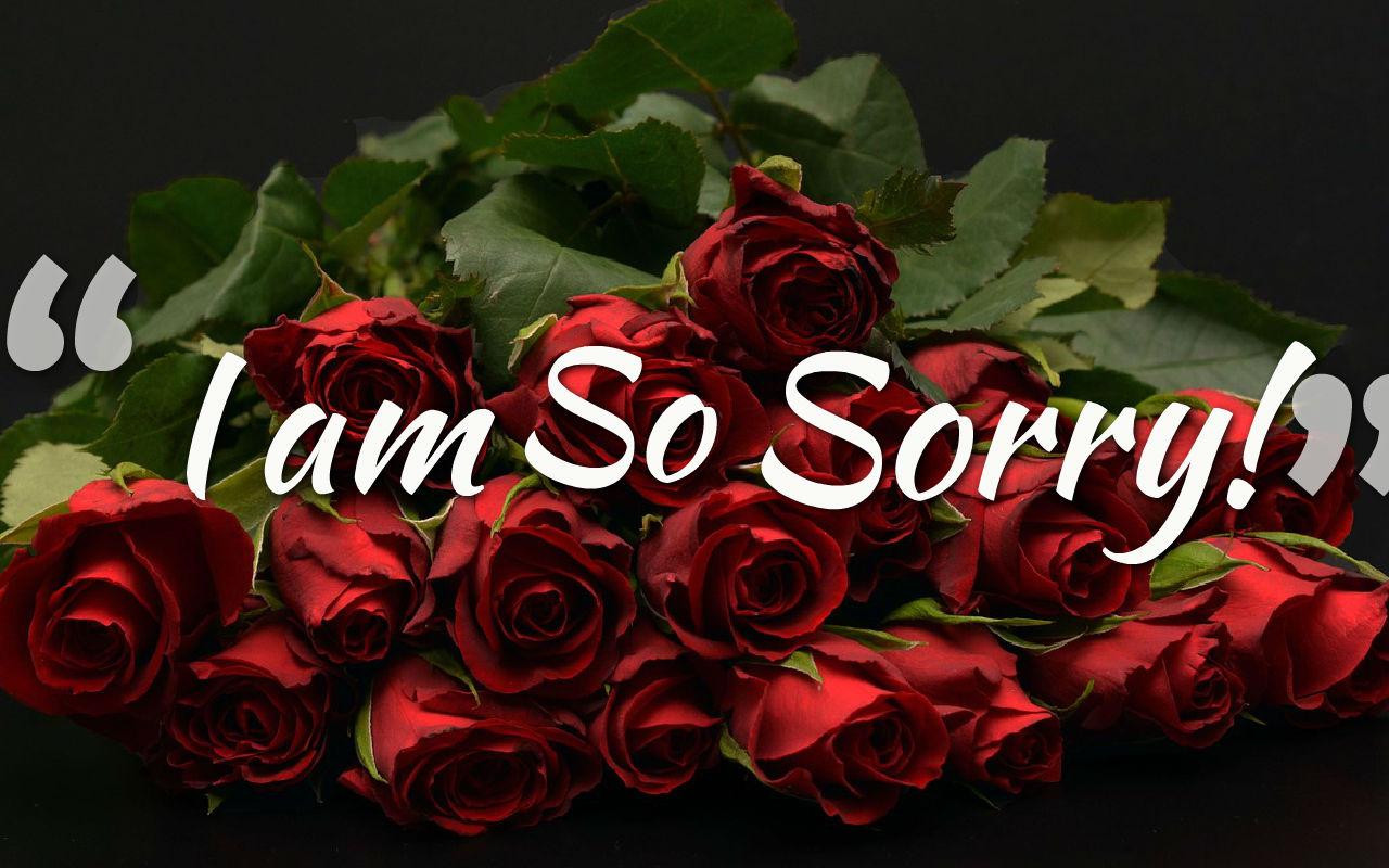 Sorry Image, Photo, Pics & HD Wallpaper Download