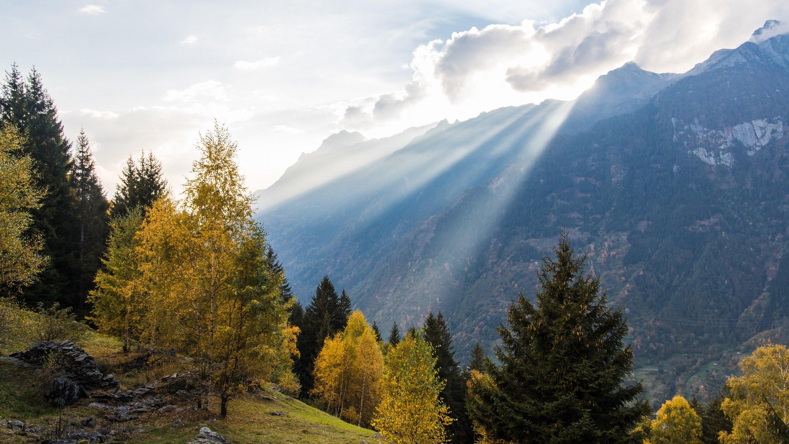 Fall in the Swiss Alps HD wallpaper