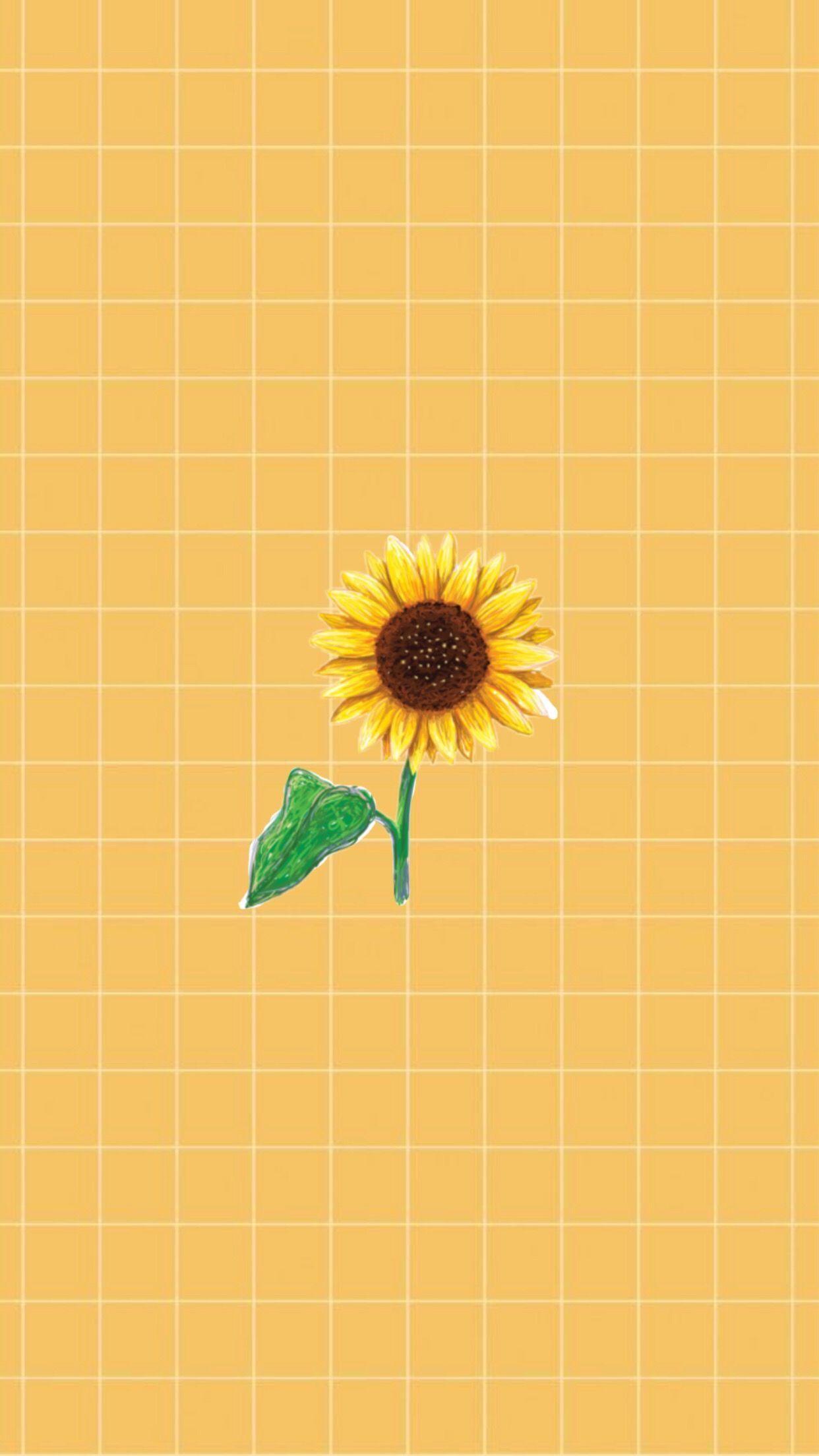 Sunflower Yellow Tumblr Aesthetic Wallpaper Free