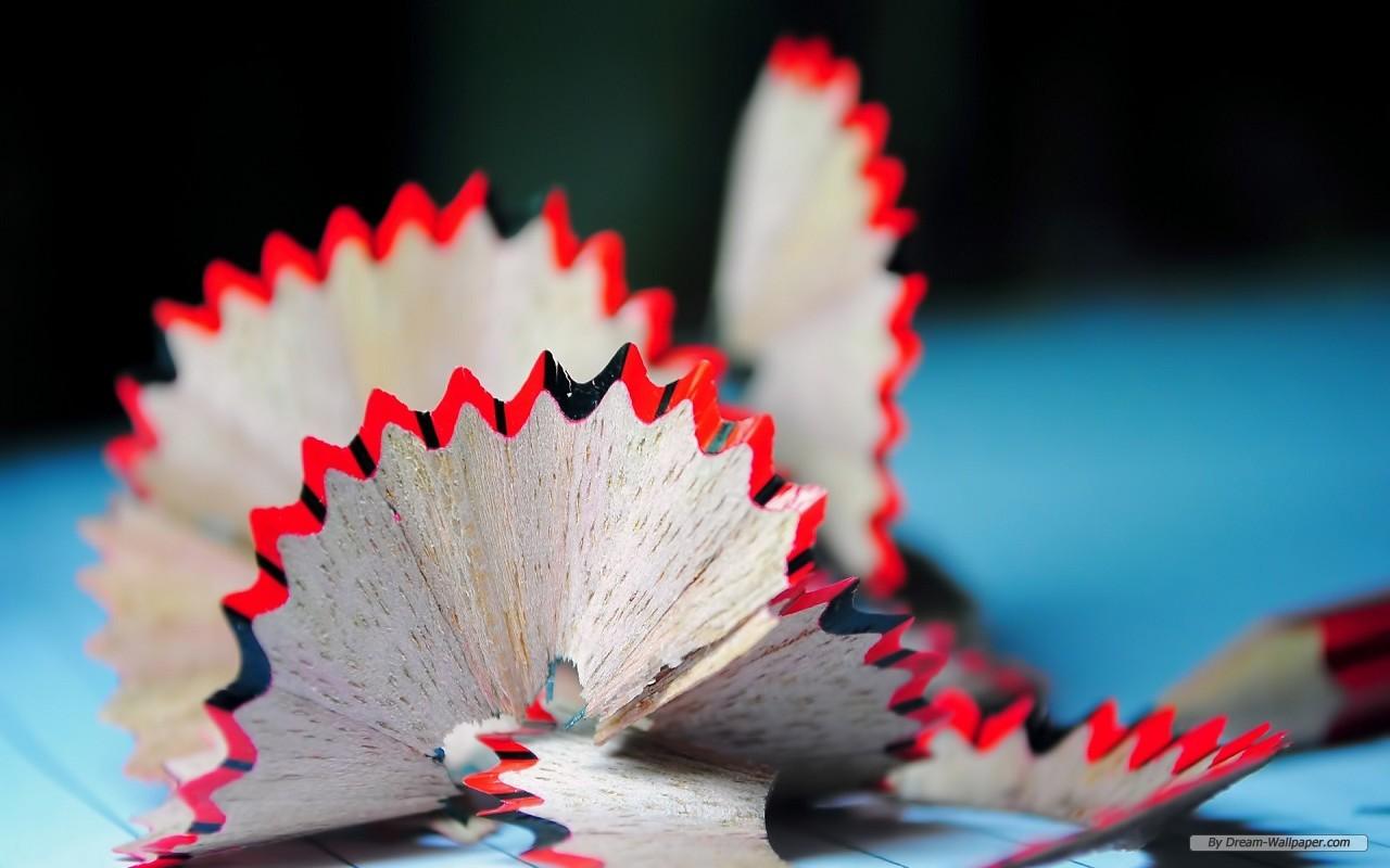 Free Wallpaper Photography wallpaper