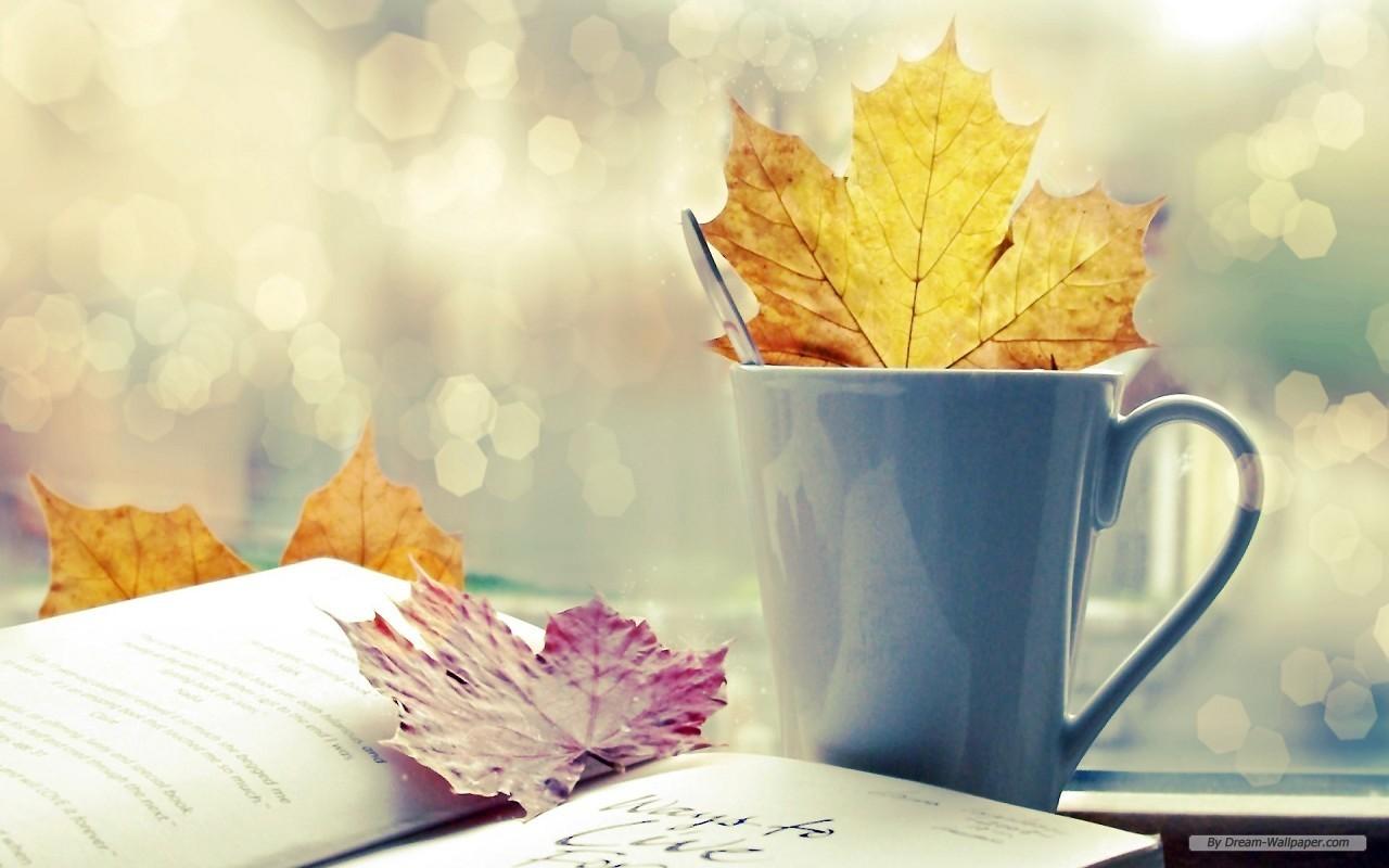 Free Wallpaper Photography wallpaper