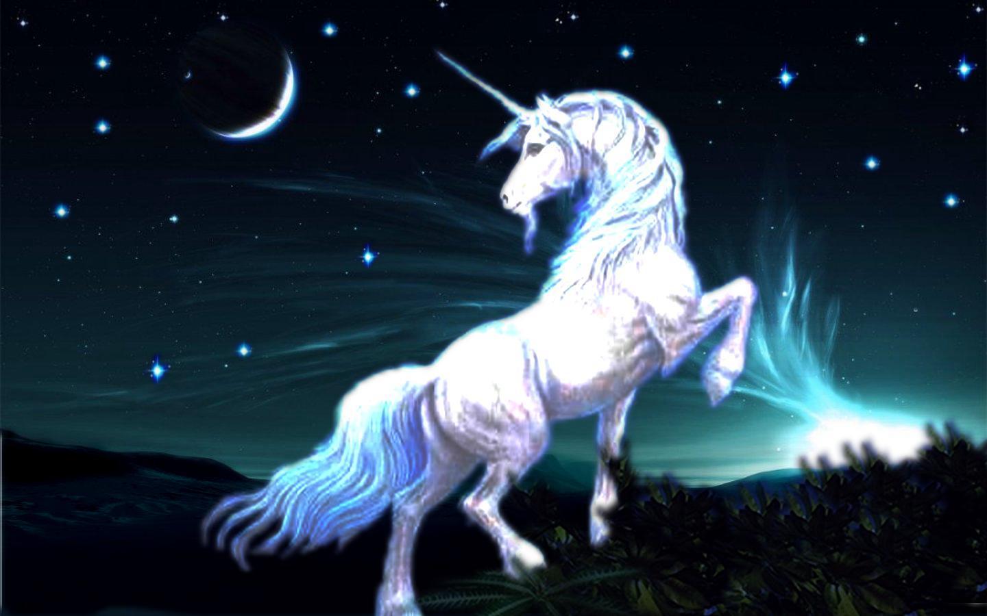 Free download 3D Unicorn Wallpaper Related Keywords amp