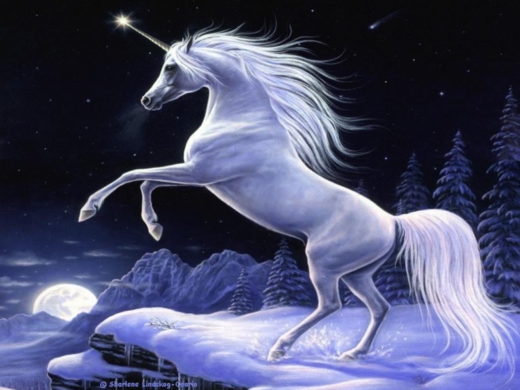 3D Graphics Background In High Quality: Unicorn By Jerad