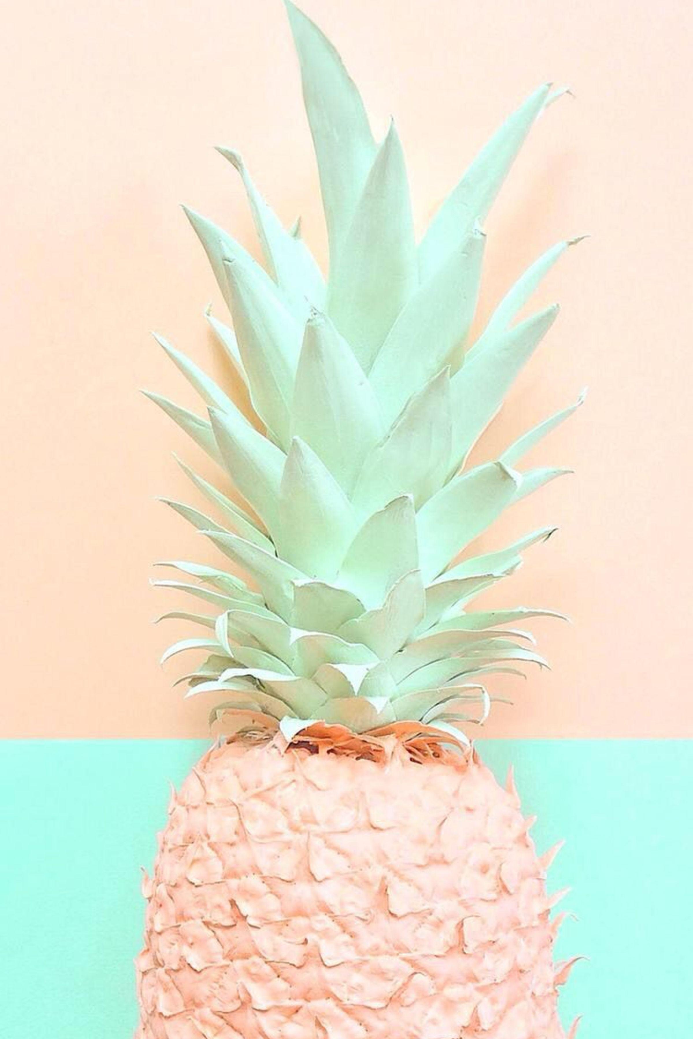 Minimalist Pineapple Wallpapers  Top Free Minimalist Pineapple Backgrounds   WallpaperAccess