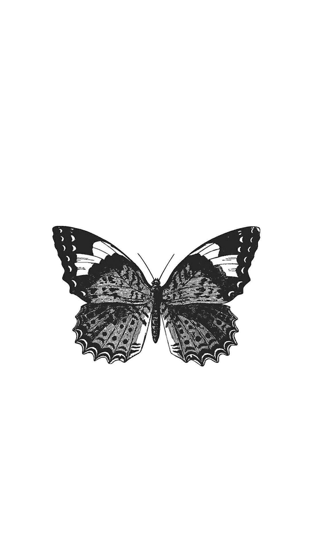wallpaper #background #wallpaper #butterfly #borboleta