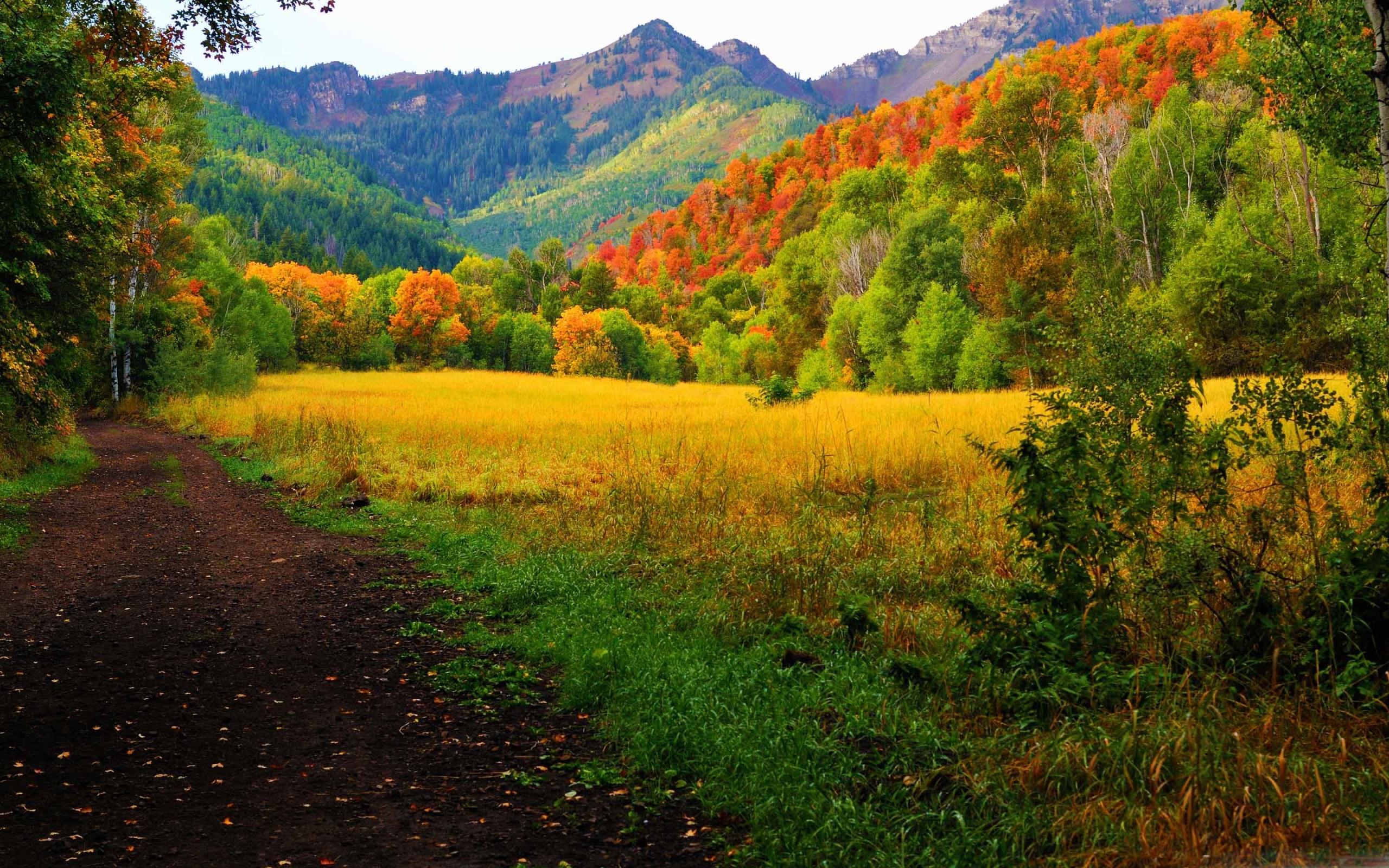Provo Canyon Fall Colors Mac Wallpaper Download
