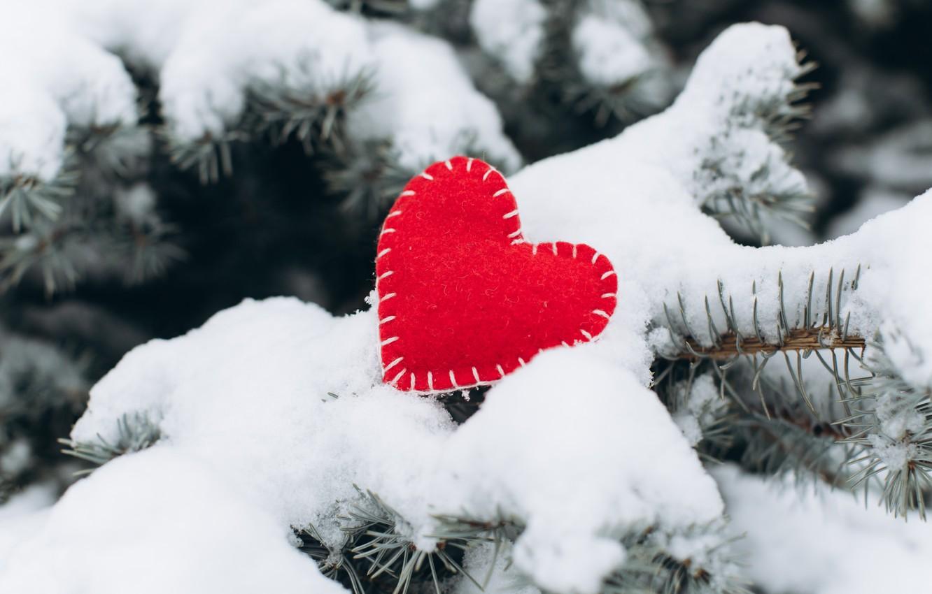 Wallpaper winter, snow, love, heart, tree, red, love, heart