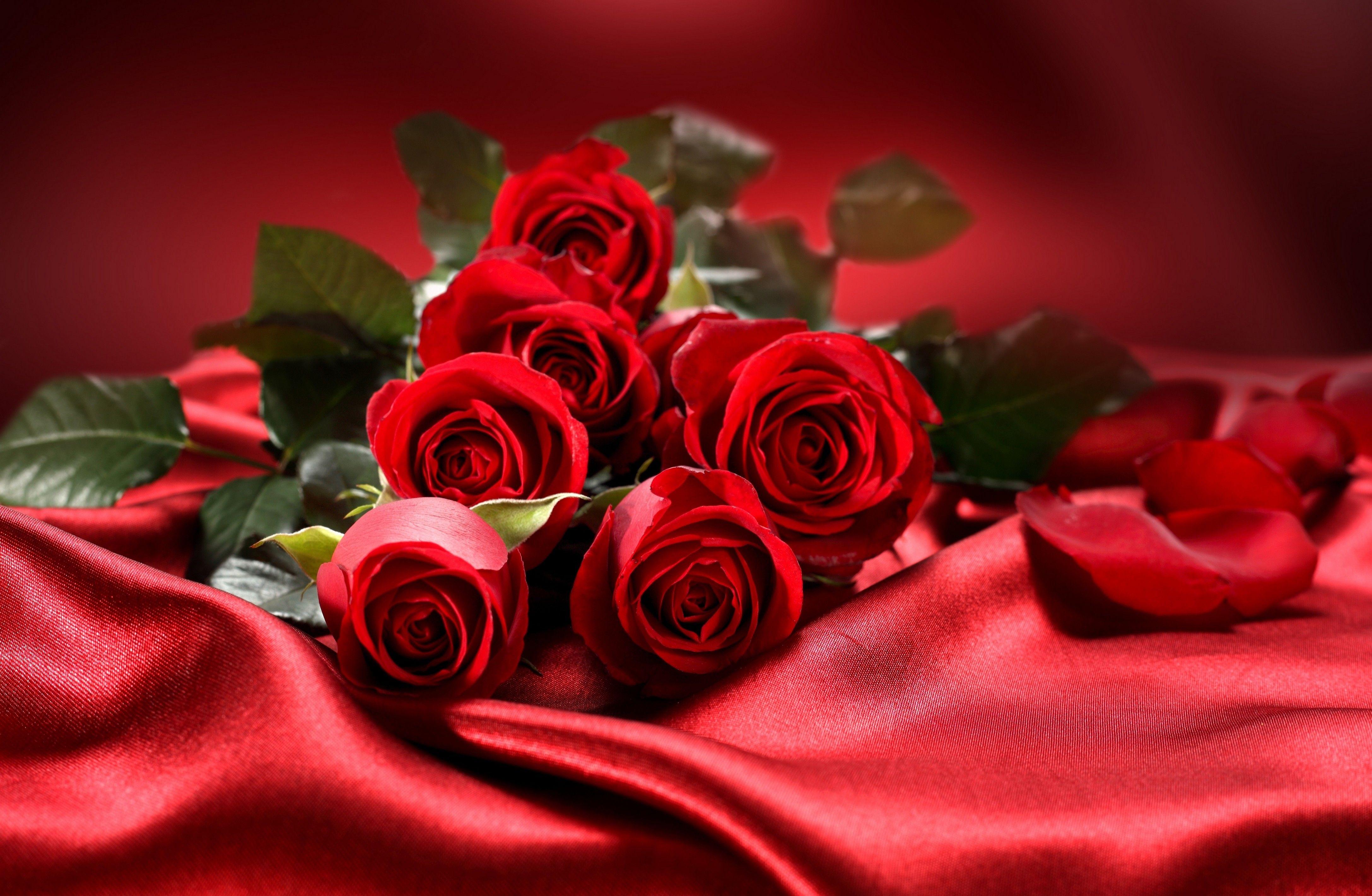 Red roses on the red silk moment. Flowers Wallpaper