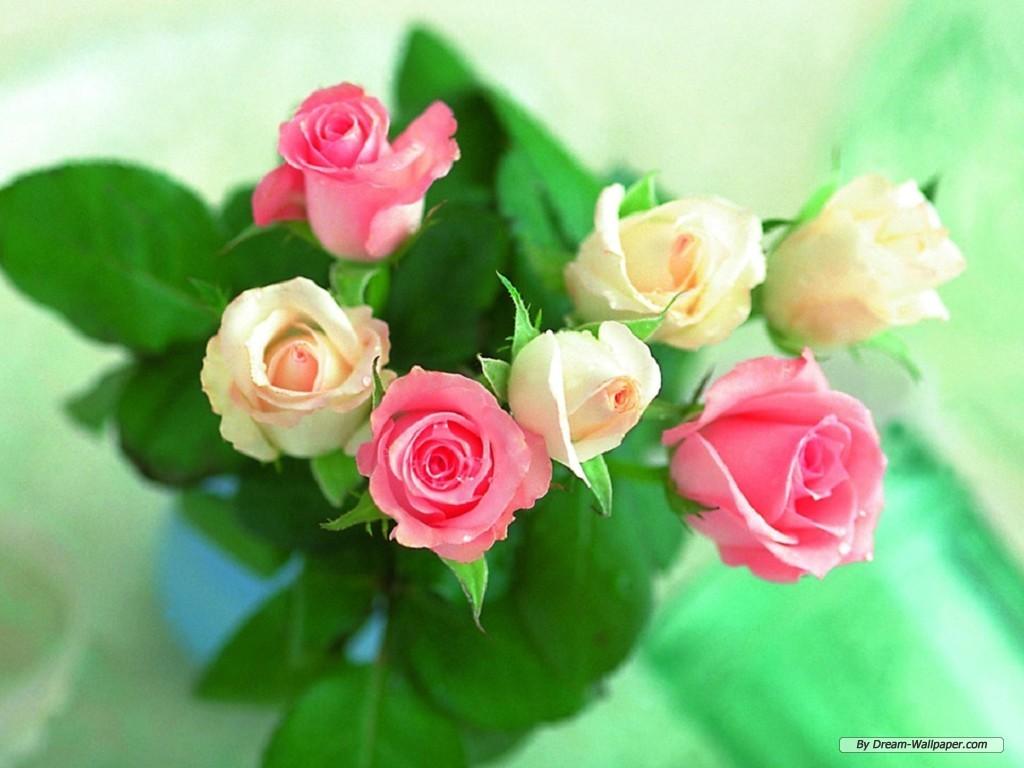 Library of free image of valentine flowers png files