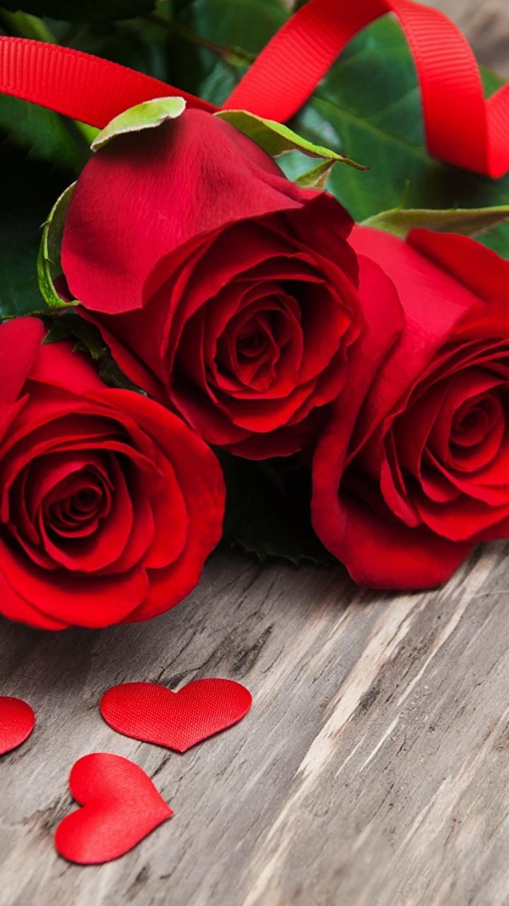 Heart, Petal, Love, Rose Family, Flower HD Wallpaper