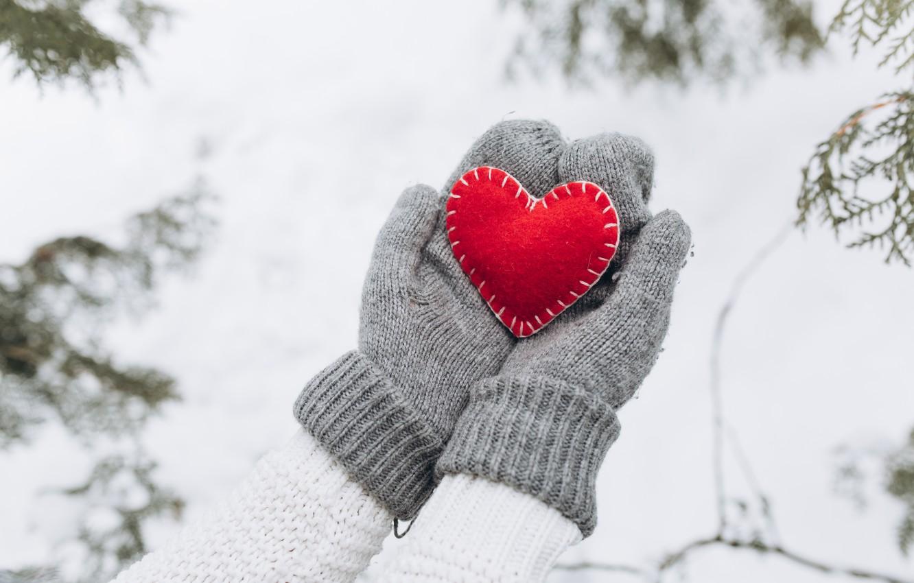 Wallpaper winter, snow, love, heart, tree, red, love, heart, winter, mittens, snow, romantic, hands, valentine, fir tree image for desktop, section настроения