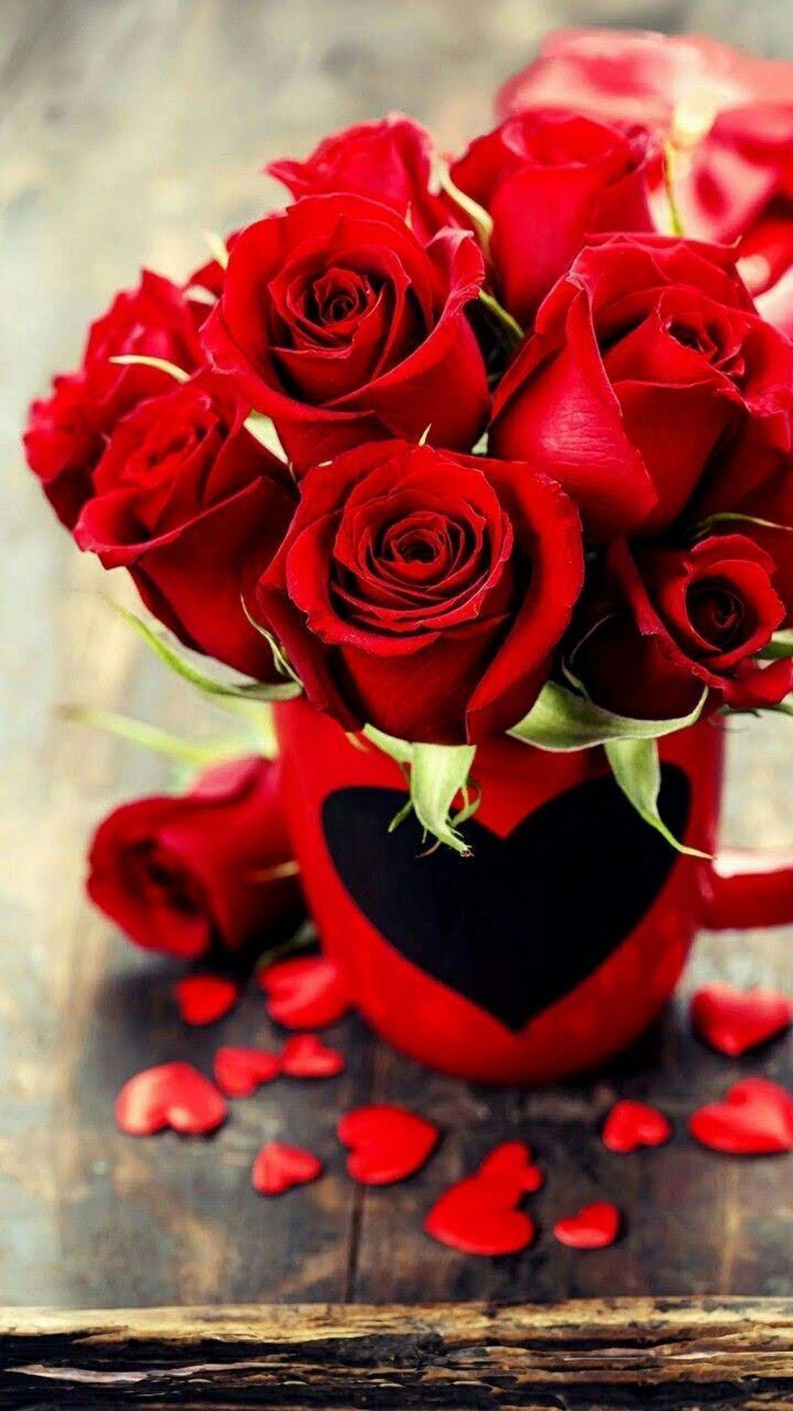 Katarina rose=love. Beautiful flowers HD wallpaper, Red