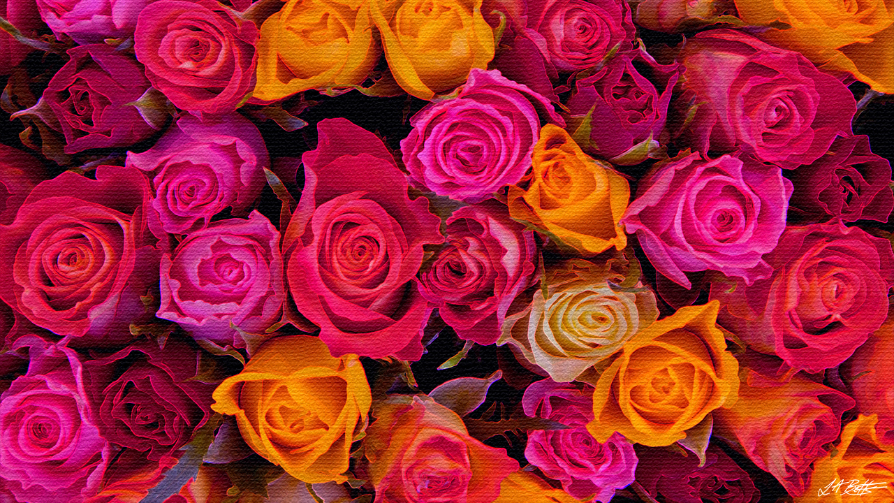 Roses Wallpaper For Computer Wallpaper