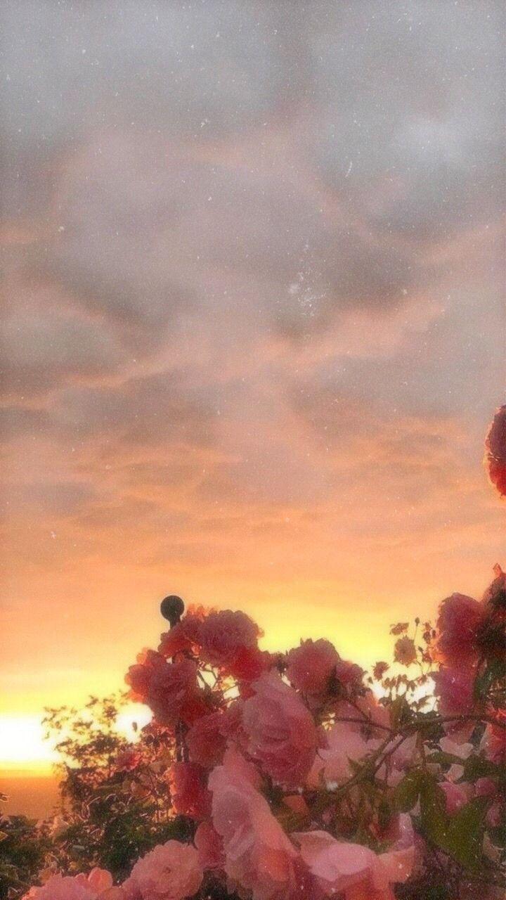 tumblr backgrounds sunrise