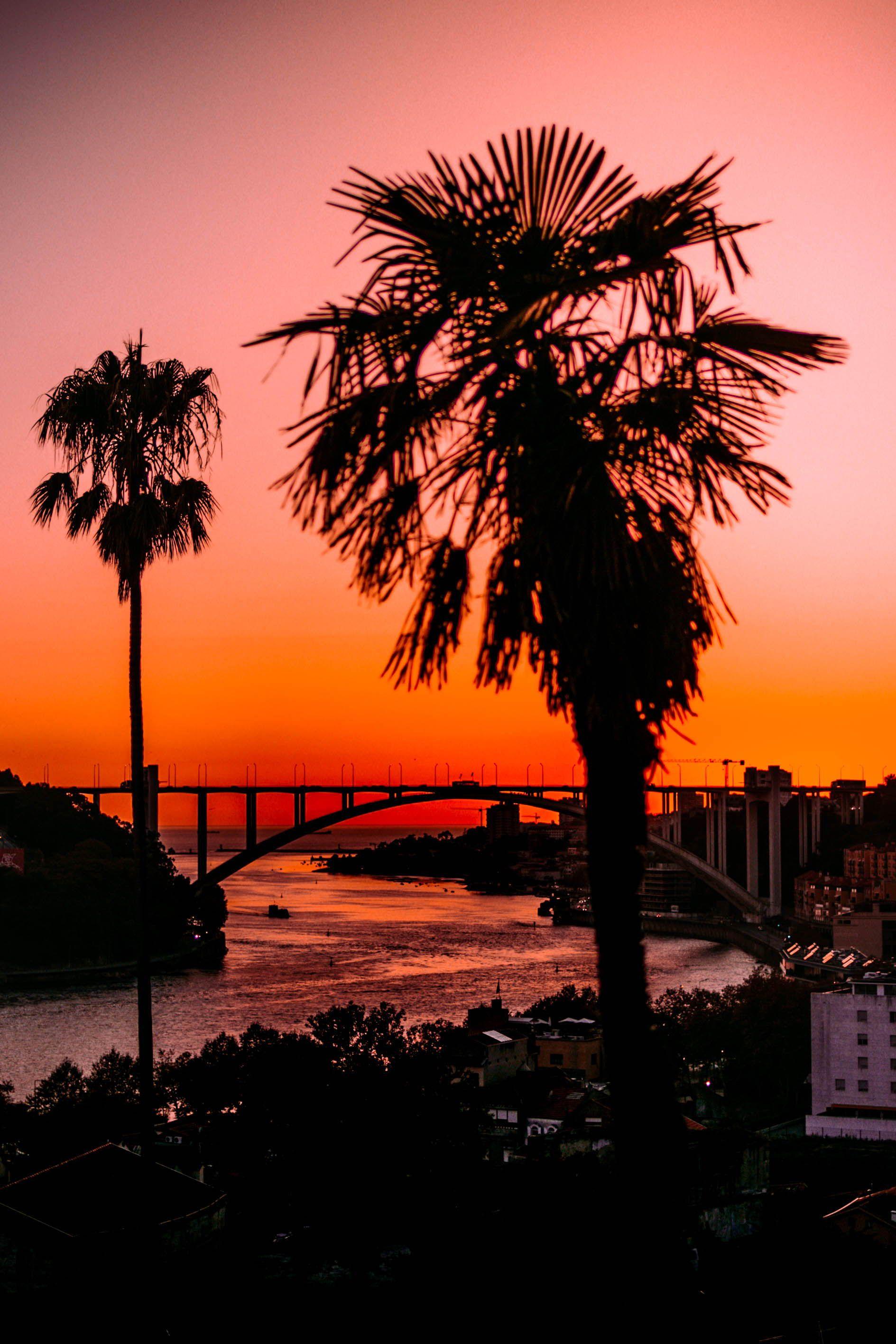 Beautiful Sunset Spots in Porto, Portugal