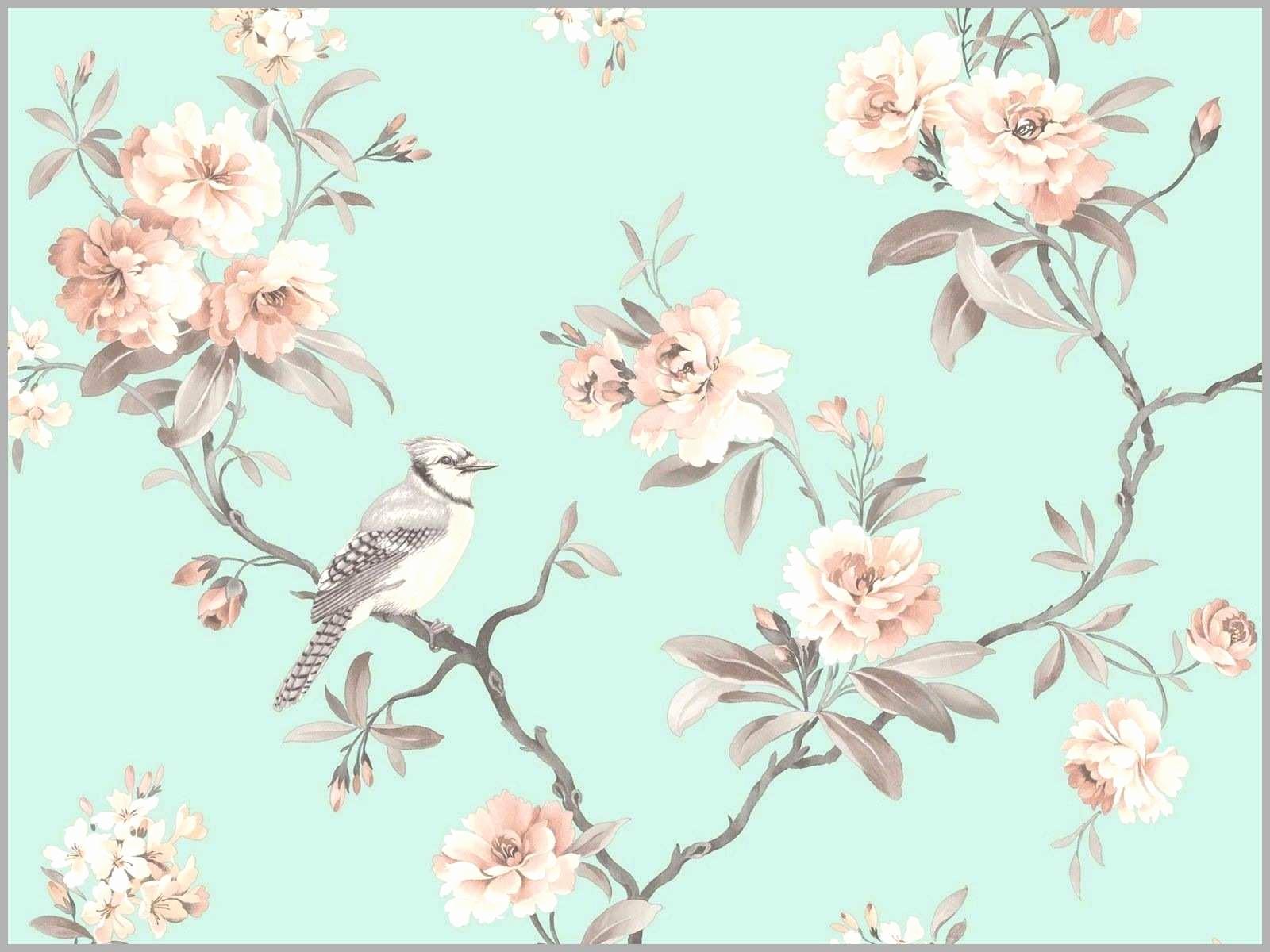 Lovely Boho Desktop Background 2019