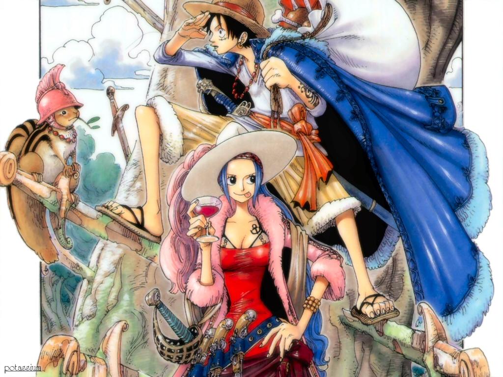 monkey d luffy nefertari vivi one piece. konachan.com