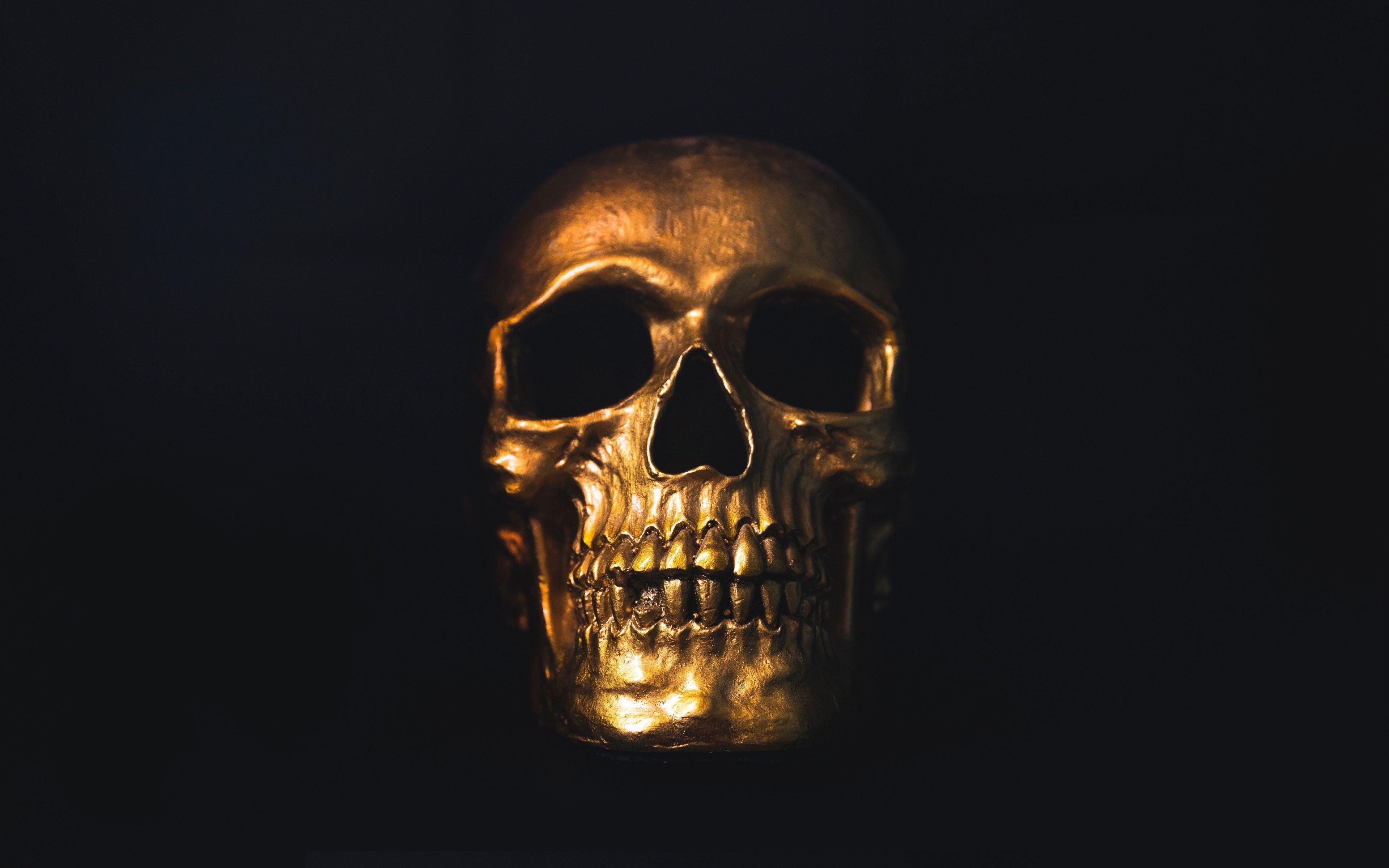 Skull Wallpaper 4k Download