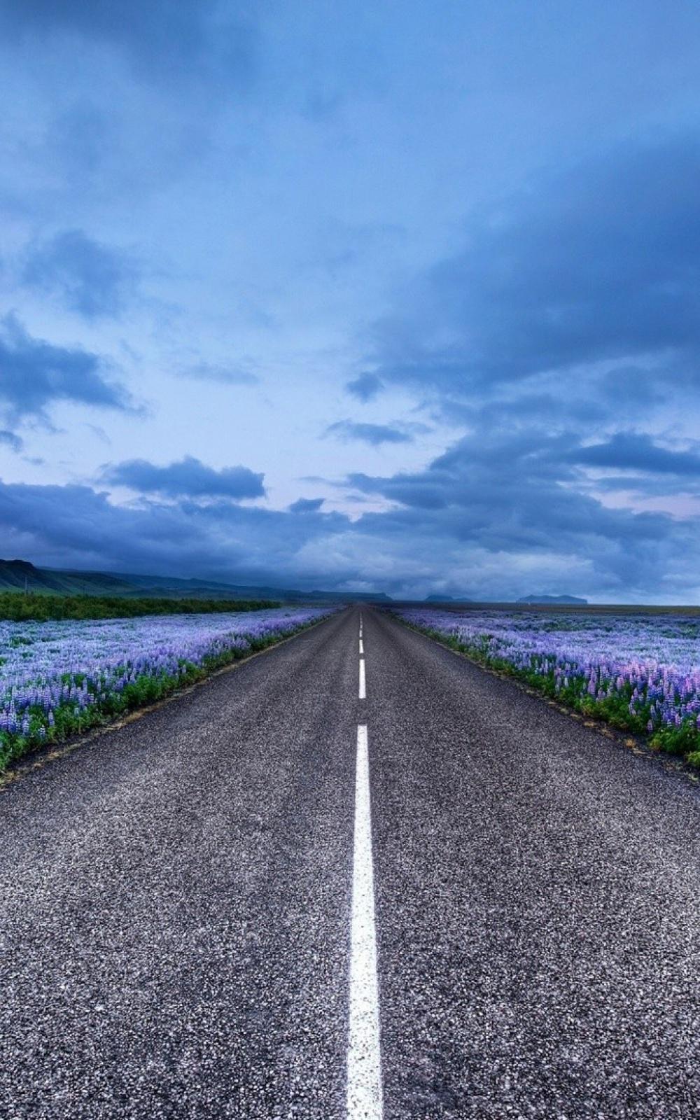 Blue Flower Field Highway Android Wallpaper free download