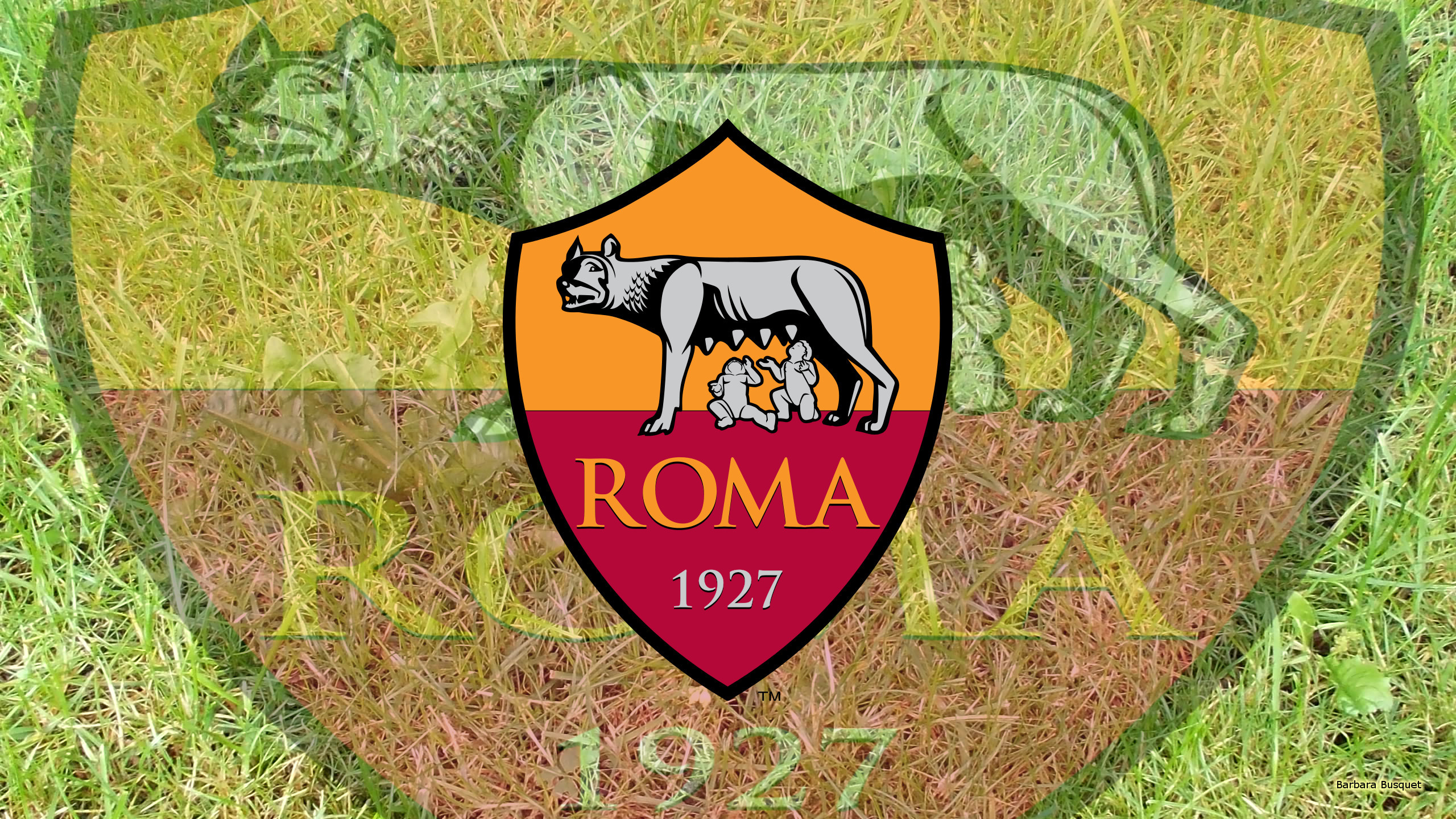 Roma Wallpaper