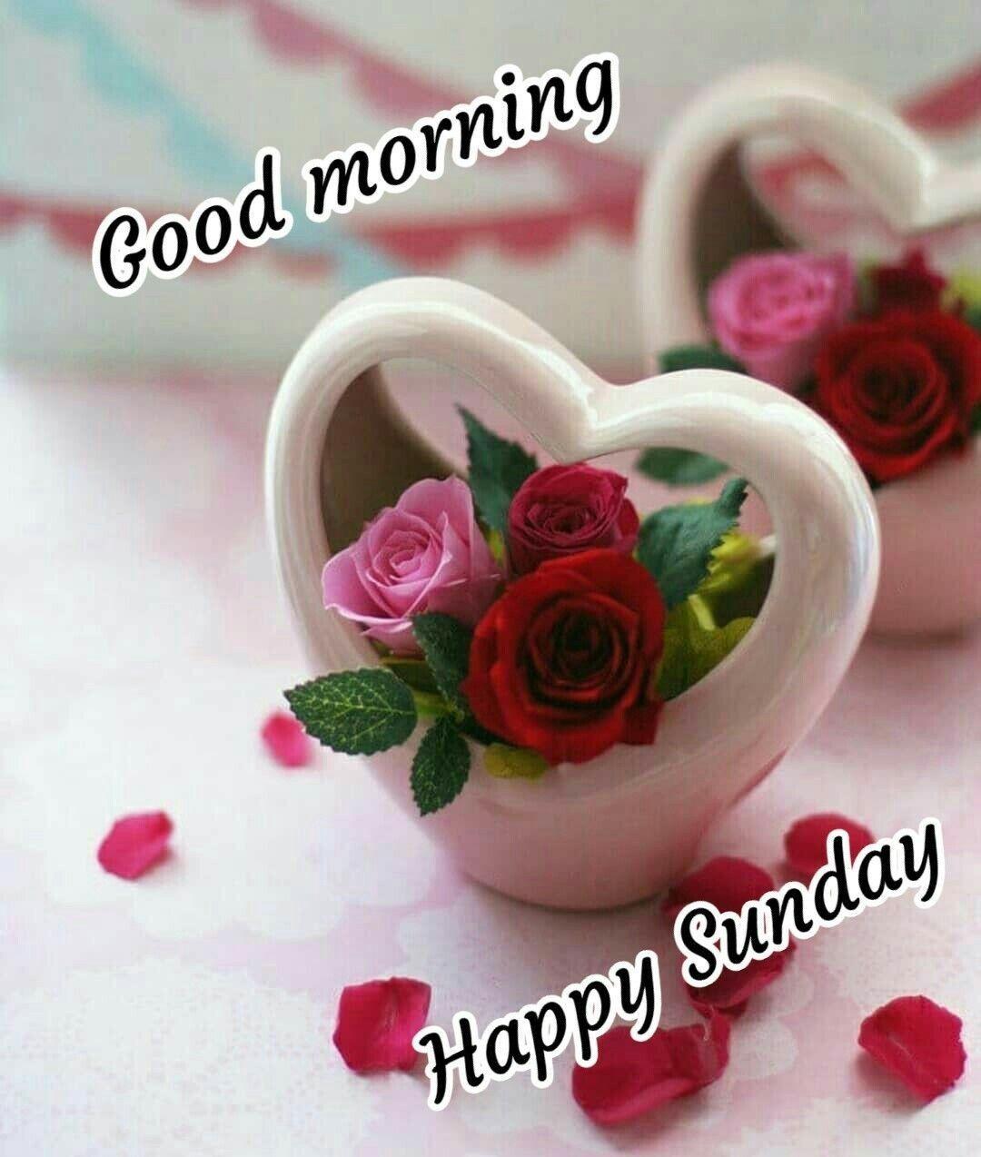 81 Happy Sunday Good Morning Images Photos HD Download