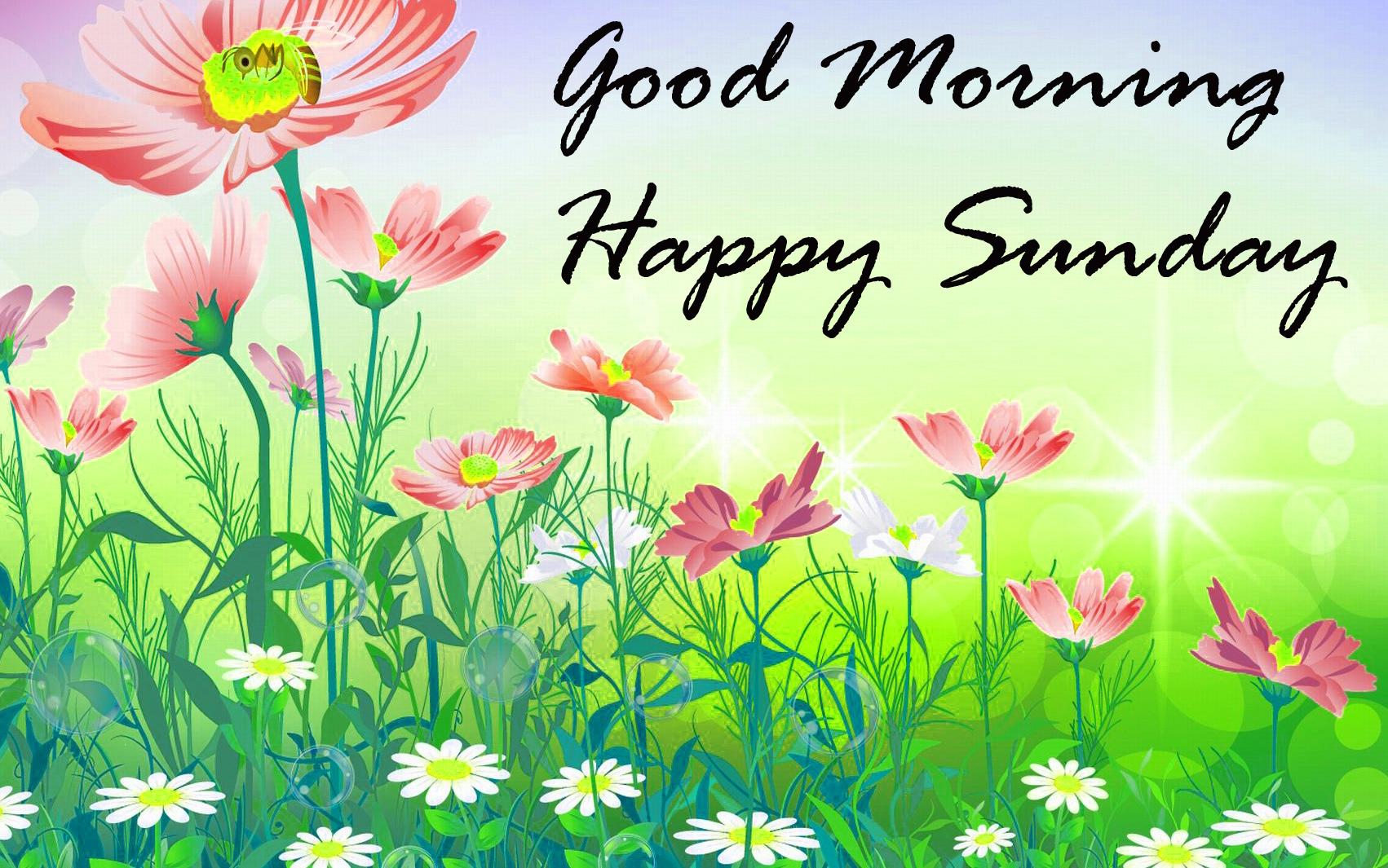 Good Morning Sunday Wallpapers - Wallpaper Cave