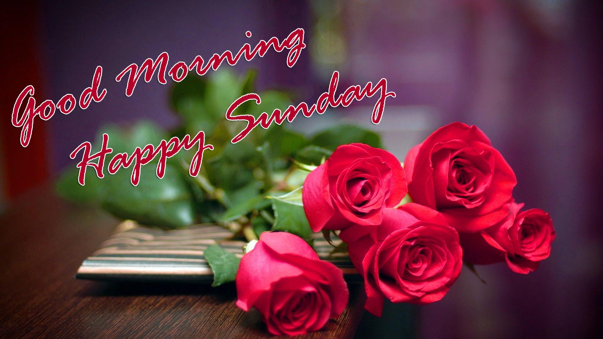 Sunday wishes good morning sunday HD phone wallpaper  Pxfuel
