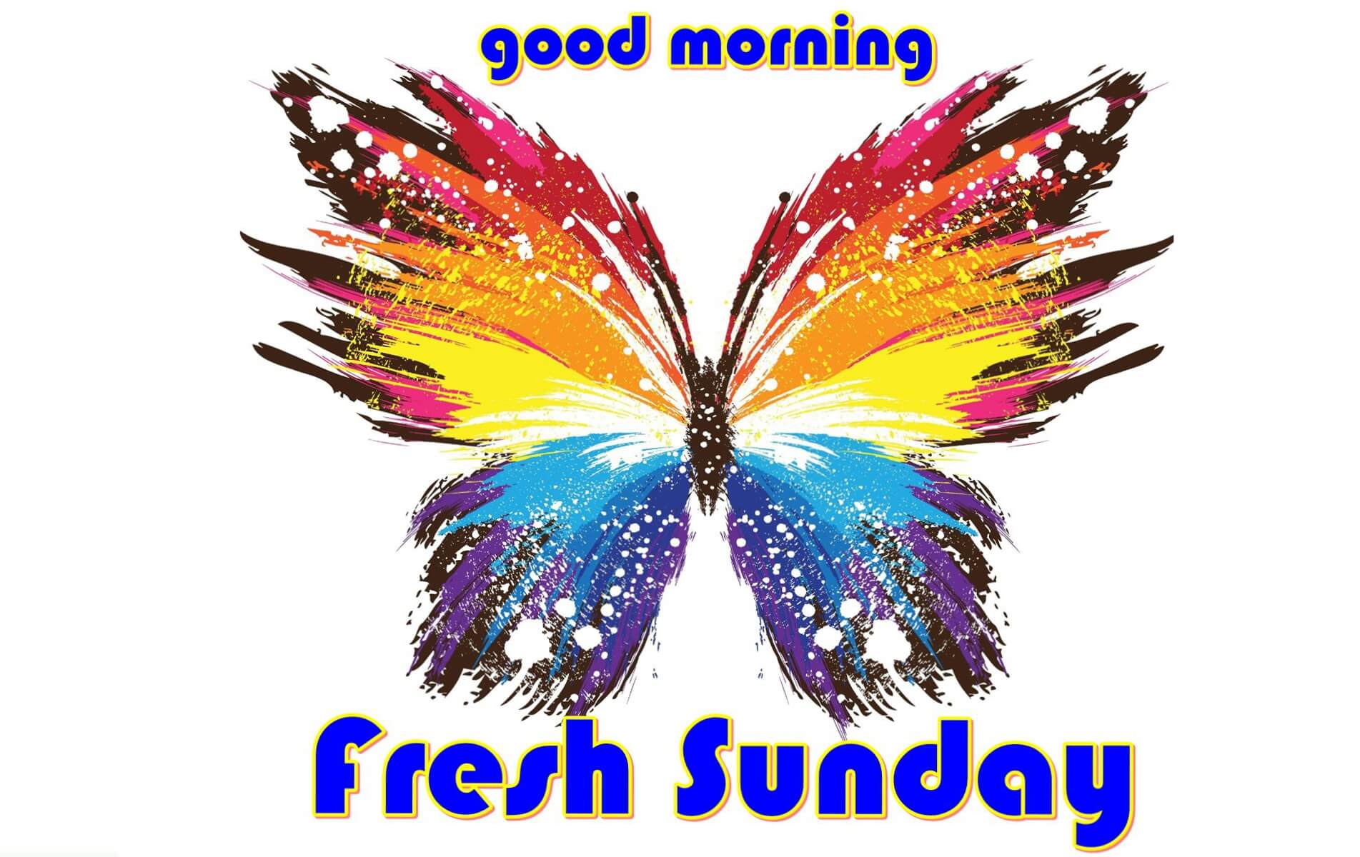 Good Morning Sunday Wishes Quotes Image