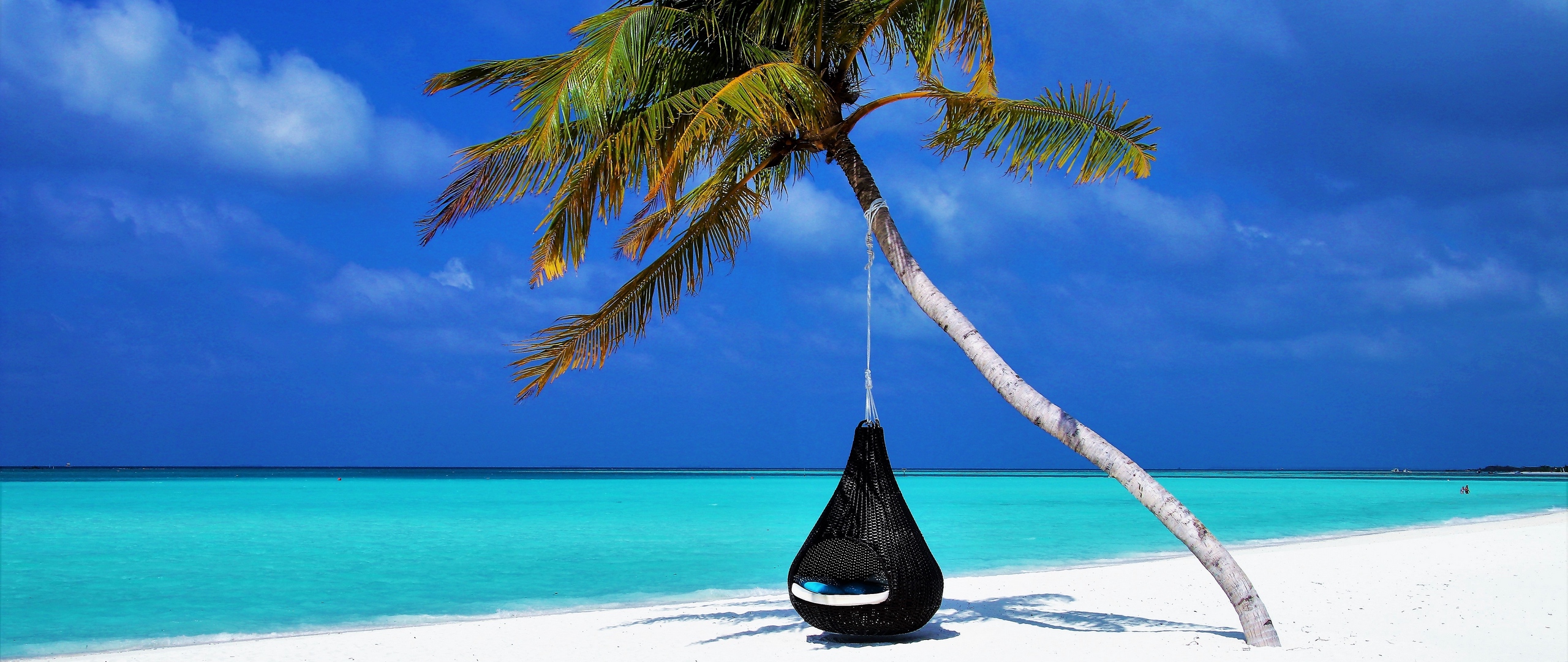 Download wallpaper 2560x1080 maldives, palm, beach, relax