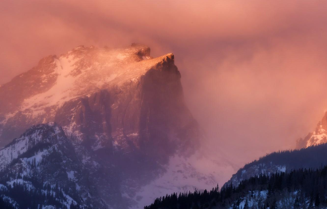 Wallpaper forest, snow, dawn, mountain, haze, Hallet Peak