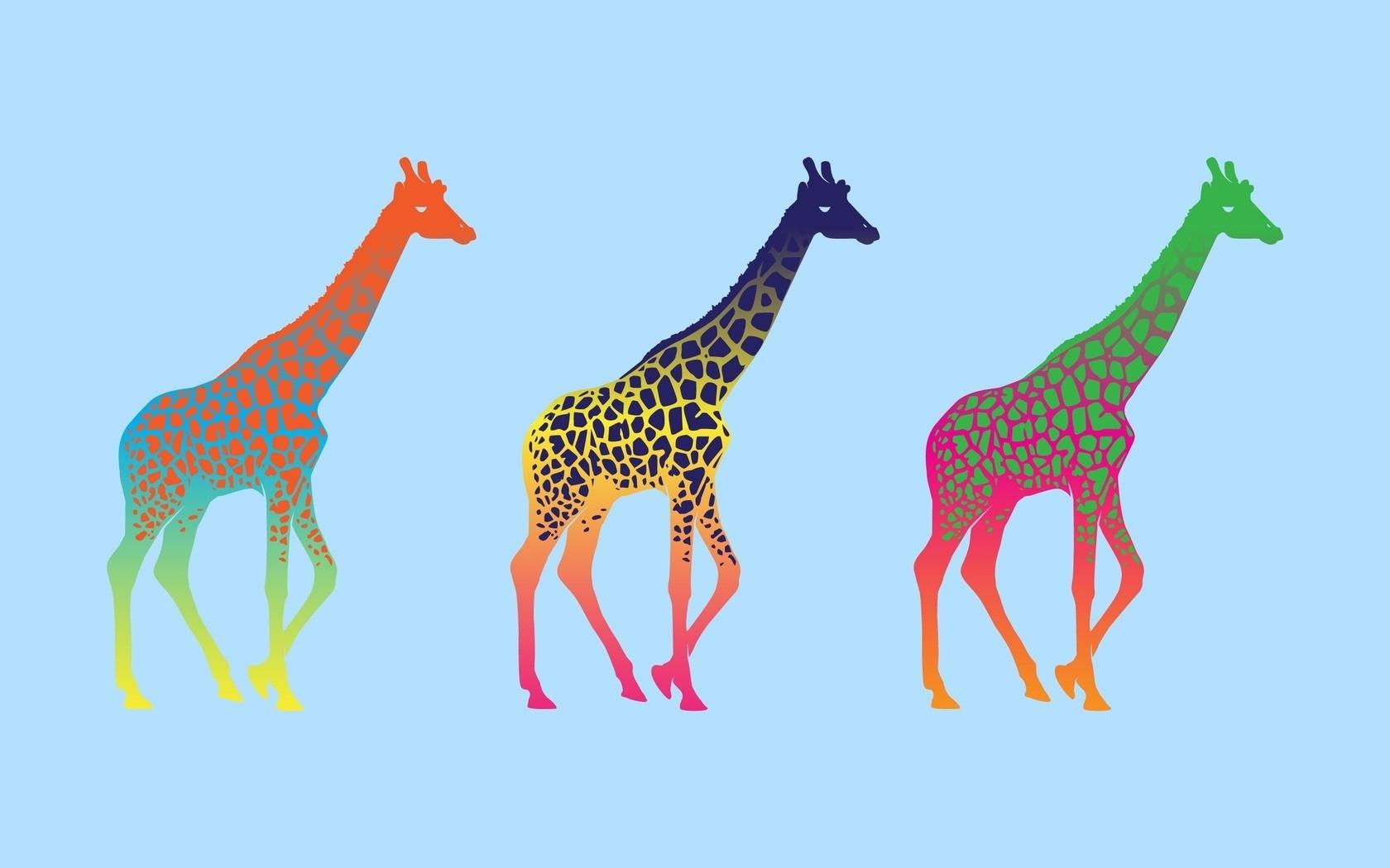minimalistic multicolor pop art giraffes 1680x1050 wallpaper