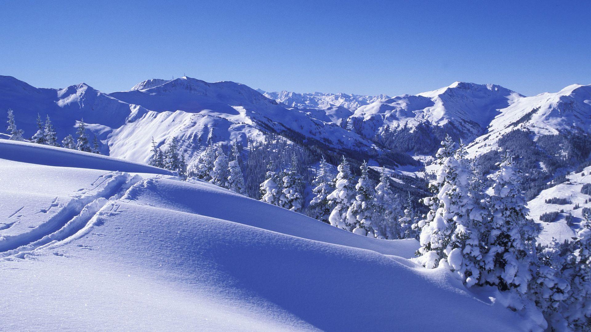 Other activities und Reitanlage