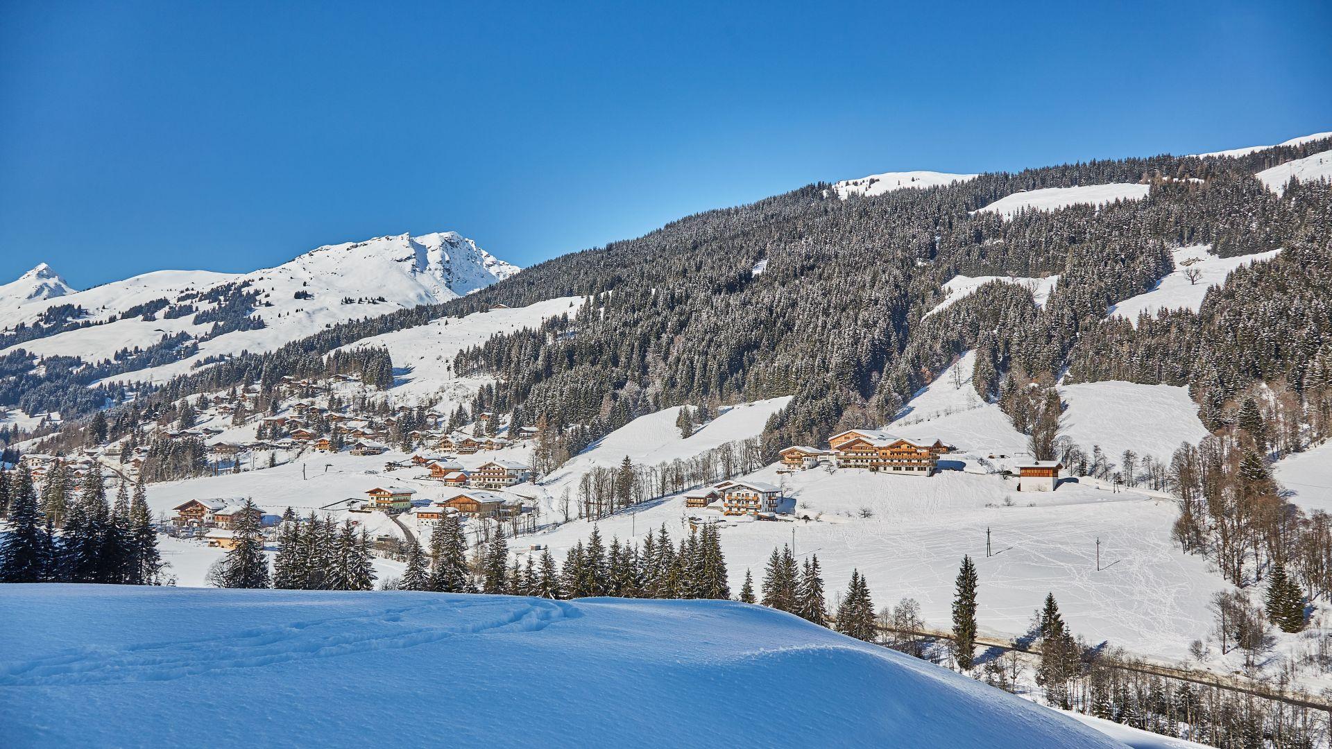 Vorderlengau. Apartments in Saalbach