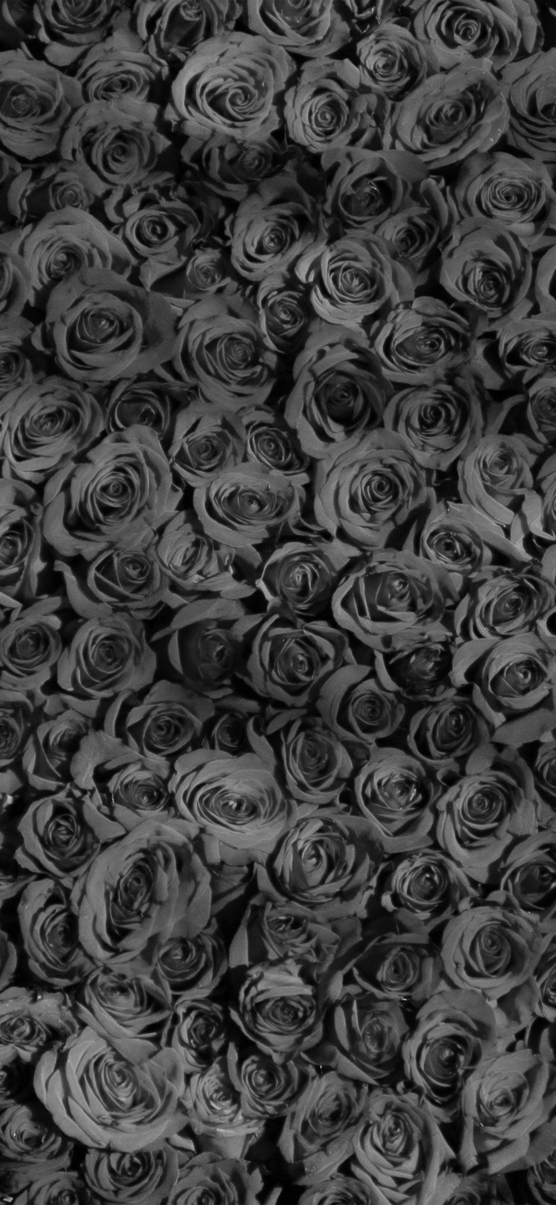 Rose Dark Bw Pattern X Wallpaper Rose, HD