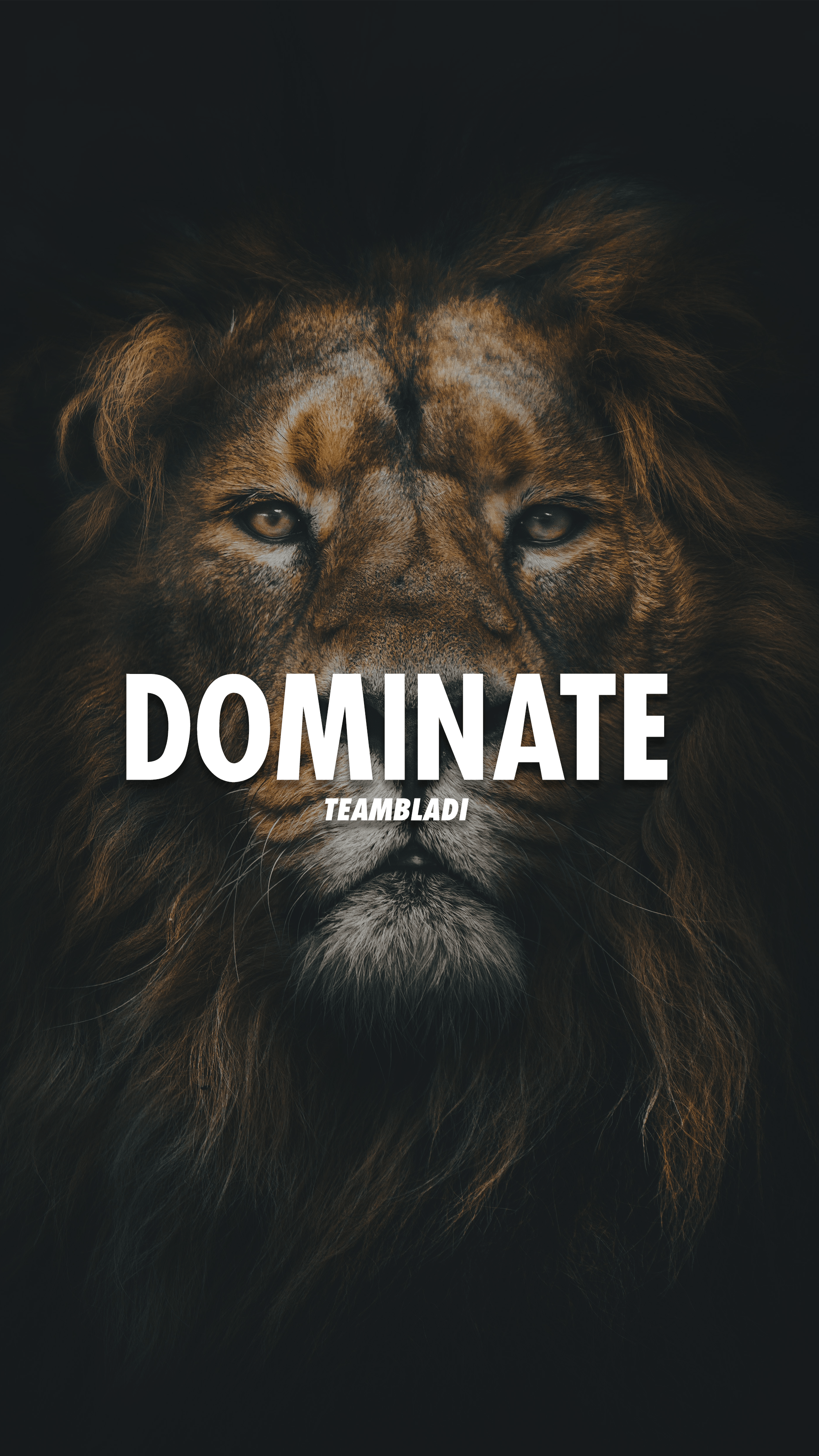Lion Motivation Wallpaper HD