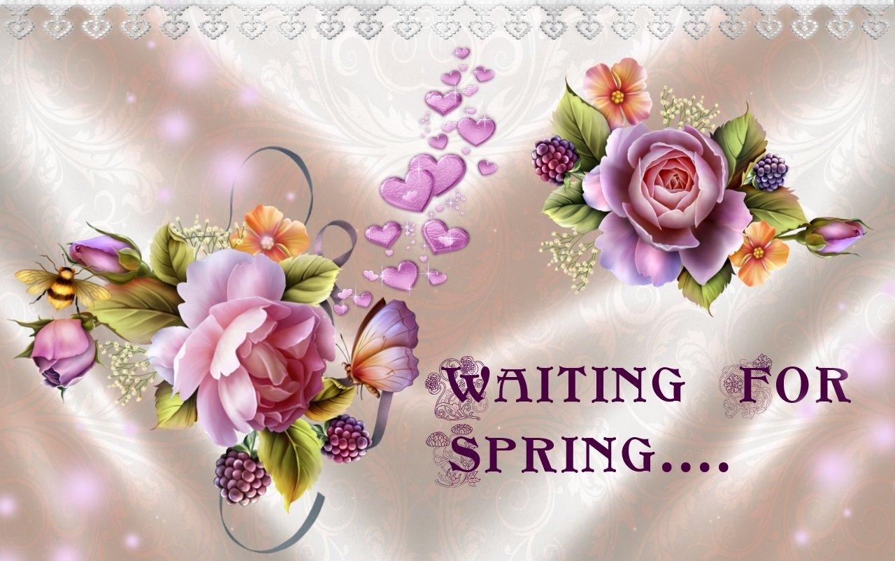Waiting For Spring Wallpaper and Background Imagex802
