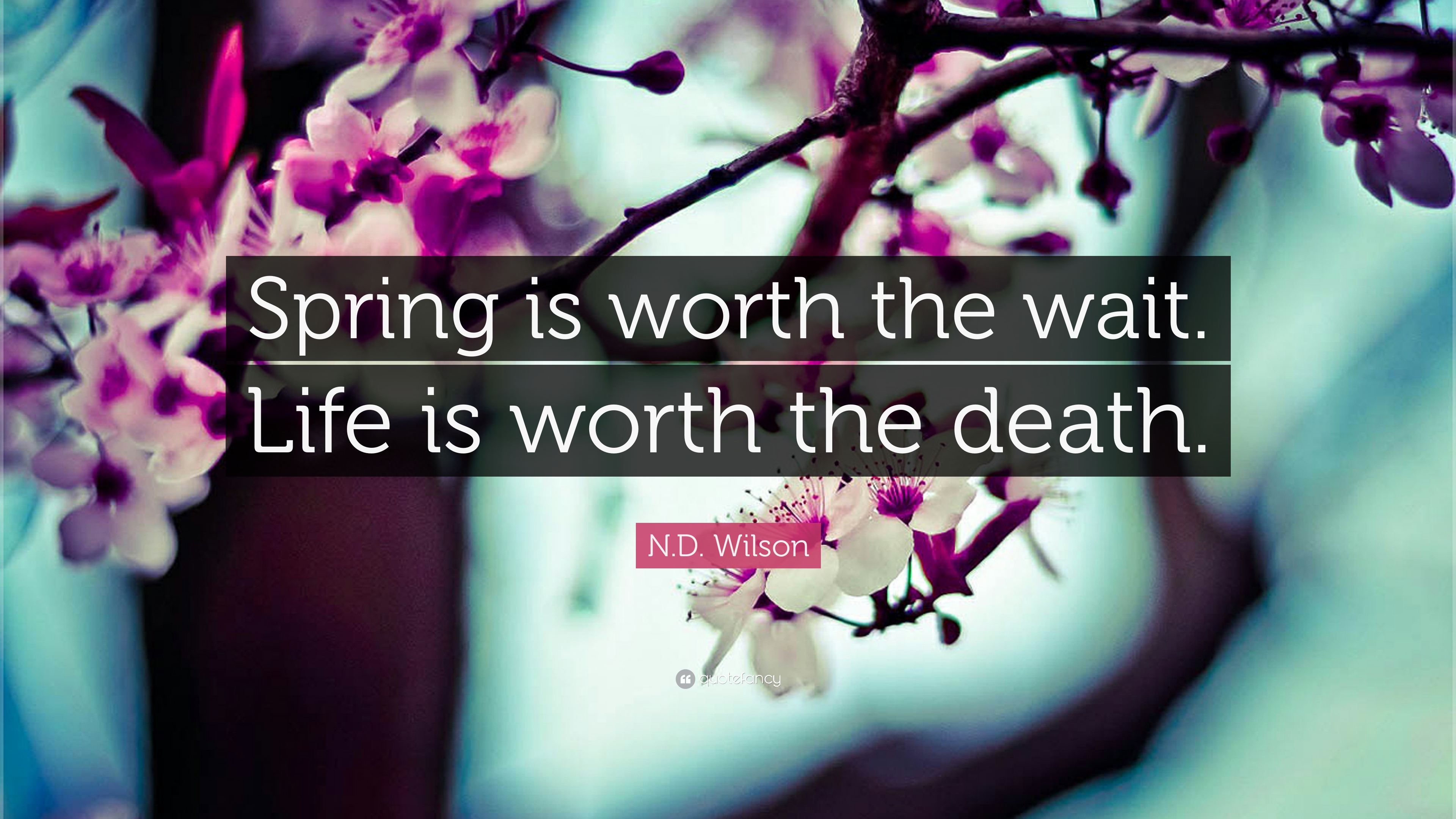 N.D. Wilson Quote: “Spring is worth the wait. Life is worth
