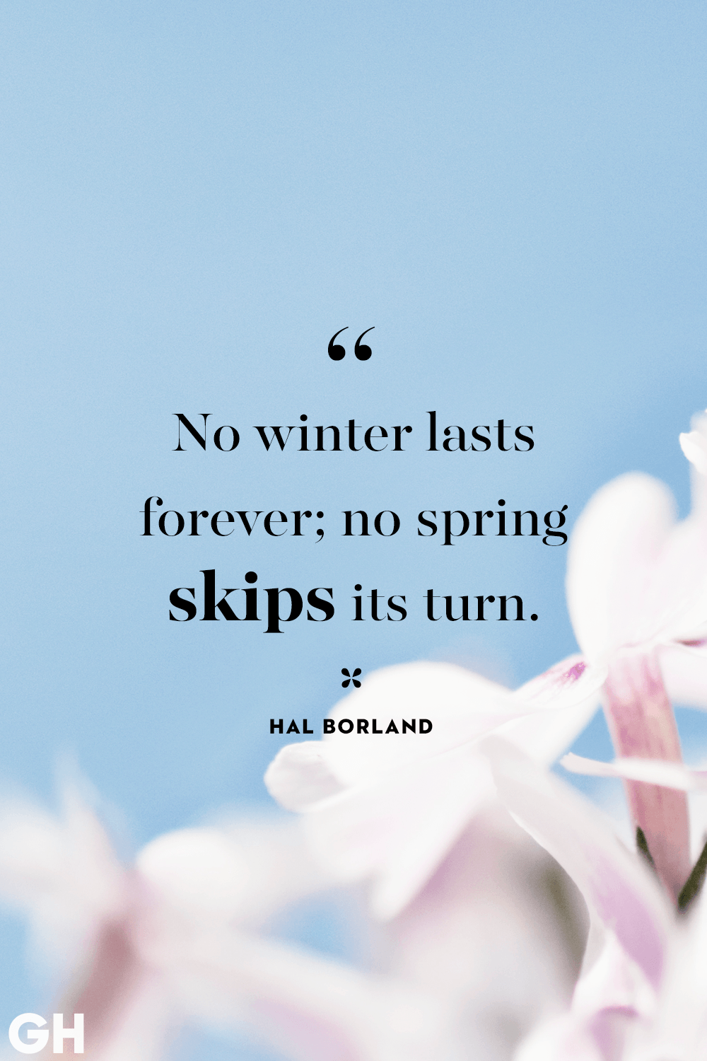 Happy Spring Quotes About Spring and Flowers