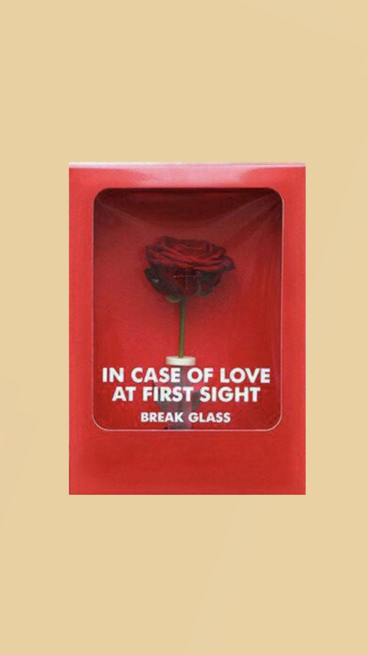 In case of love at first sight break glass wallpaper. made
