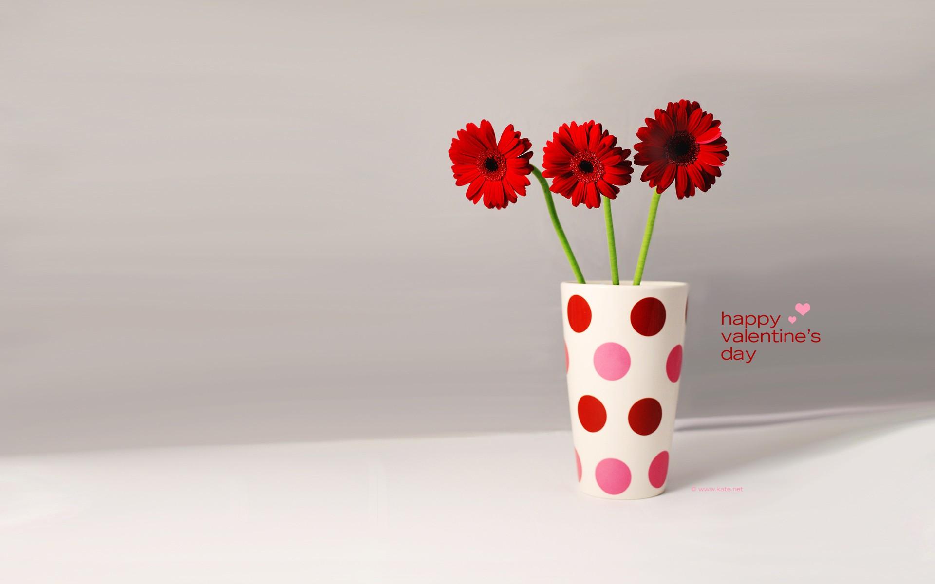 Valentine, flowers, red, wallpaper, computer, backgrounds