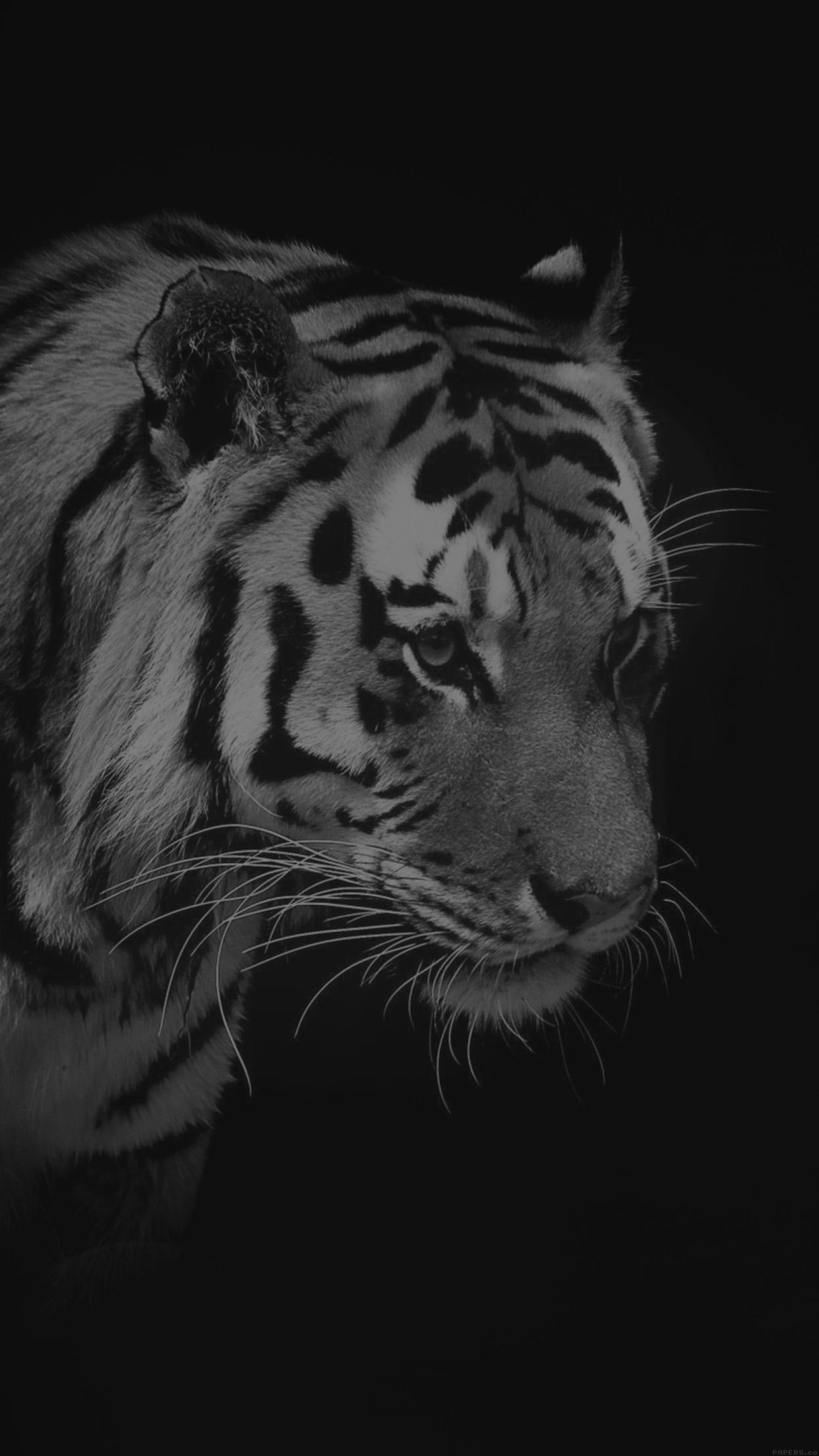 Tiger Dark Bw Animal Love Nature Android wallpaper